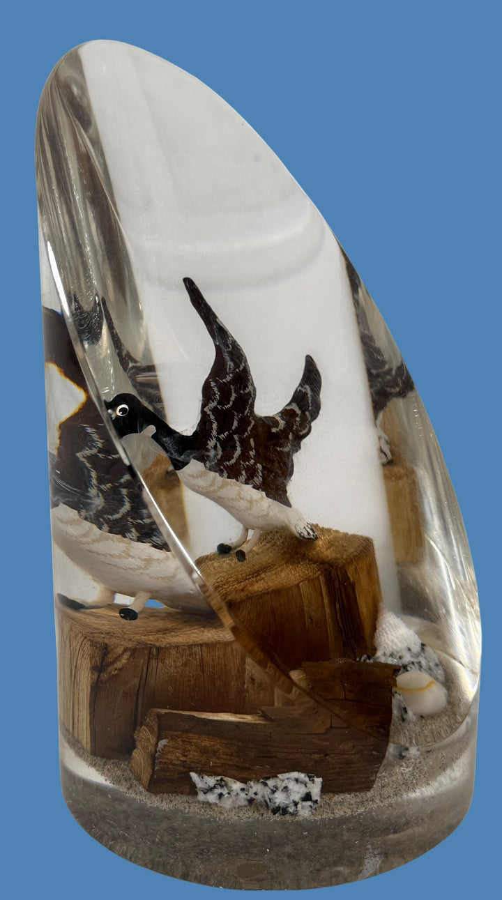 Mid-Century Lucite Nautical Bird Scene – Resin Paperweight