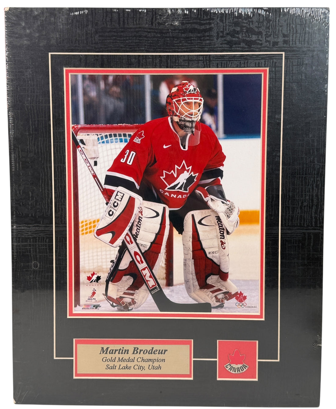 Martin Brodeur 2002 Team Canada Gold Medal Champion Photo File print – licensed Olympic hockey collectible plaque, sealed, excellent condition.