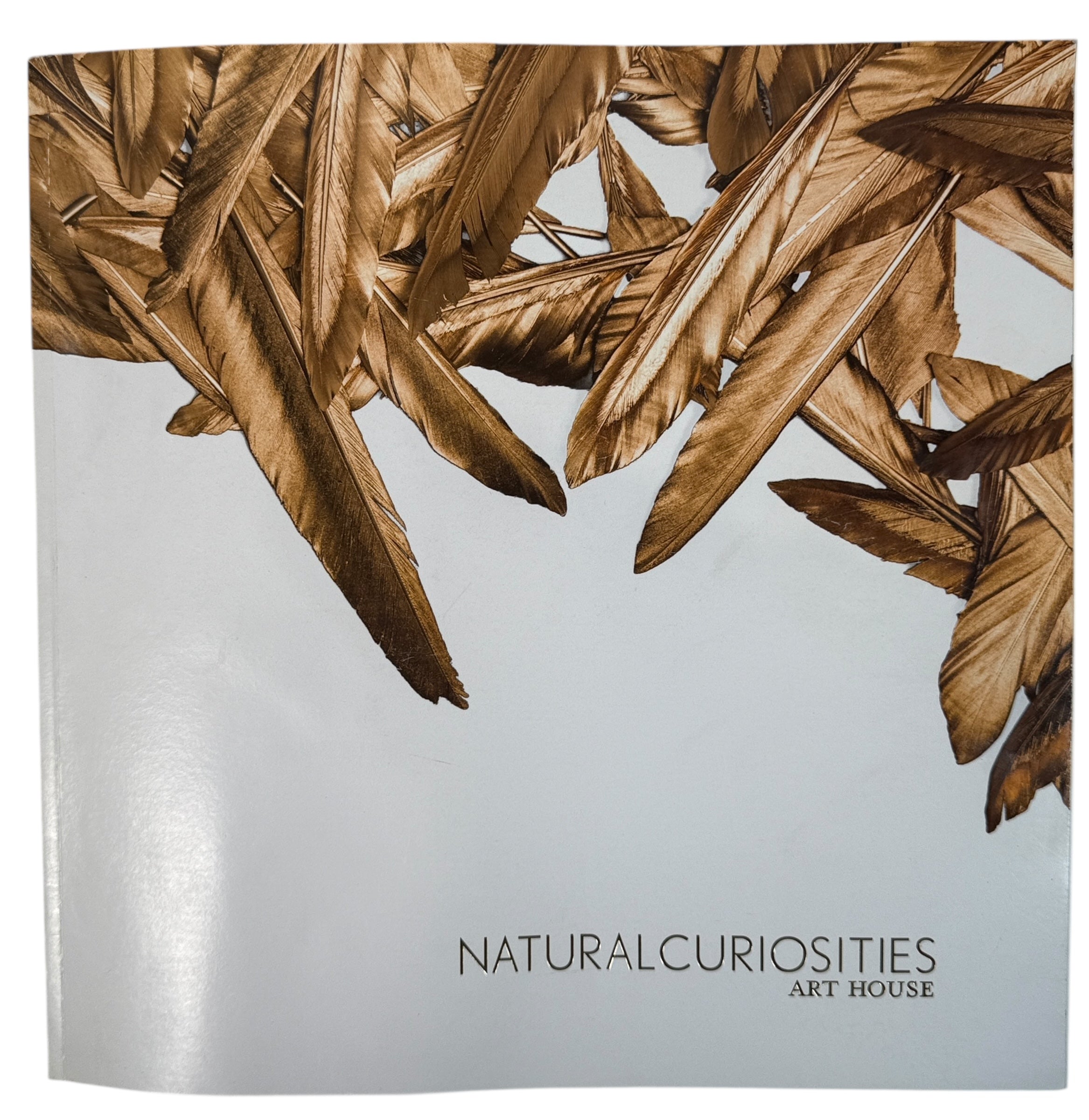 Natural Curiosities New Explorations art catalog with full-color plates and studio imagery. Rare design trade book for collectors, decorators, and visual reference.