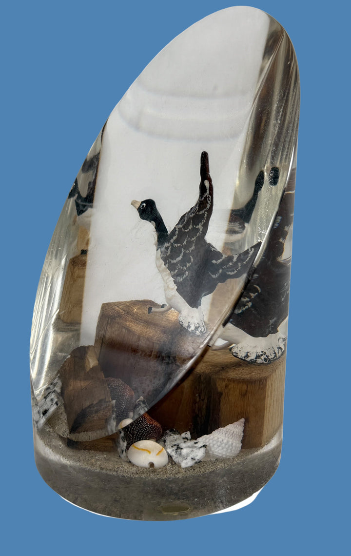 Decorative piece with a duck design inside a clear shell on a white background