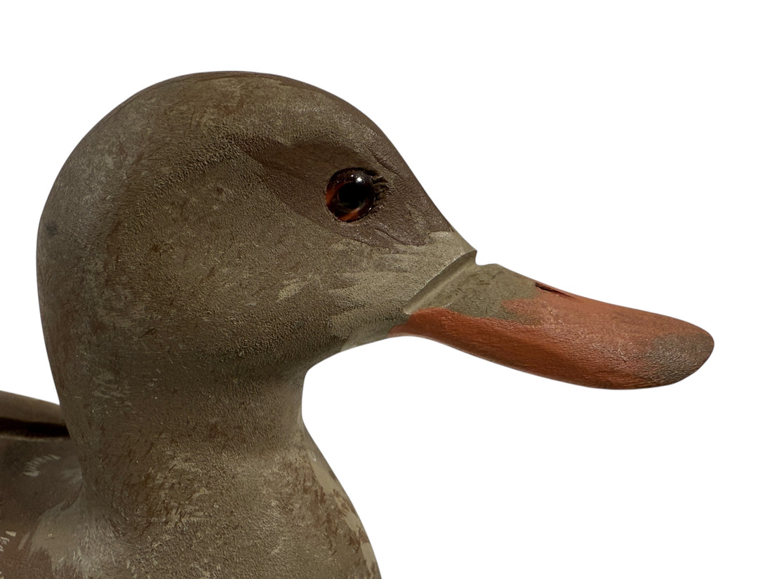 Close-up of a duck decoy with a brown head and orange bill on a white background
