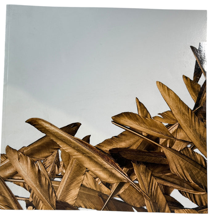 Natural Curiosities New Explorations art catalog with full-color plates and studio imagery. Rare design trade book for collectors, decorators, and visual reference.