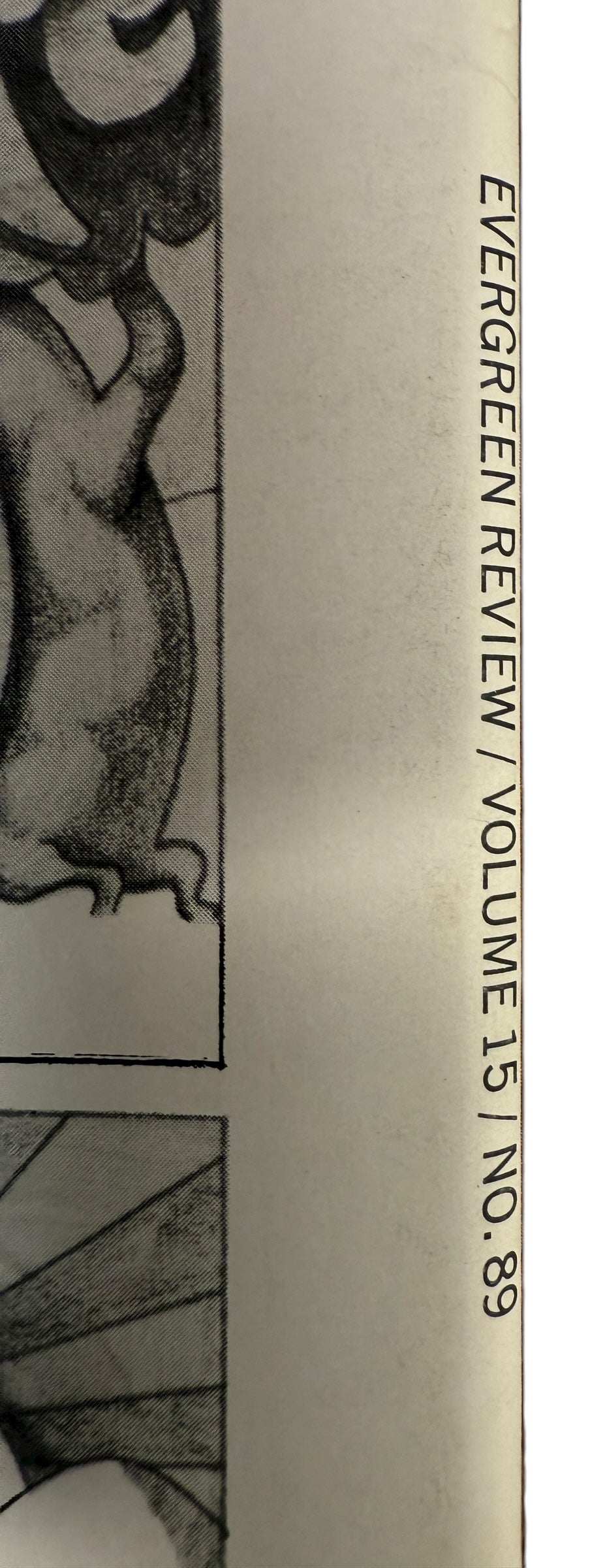 Evergreen Review May 1971 #89 – Classic George Adams cover &amp; radical 1970s essays by Sale, Gornick &amp; Lester. Vintage VG copy from Eco Depot Montreal.