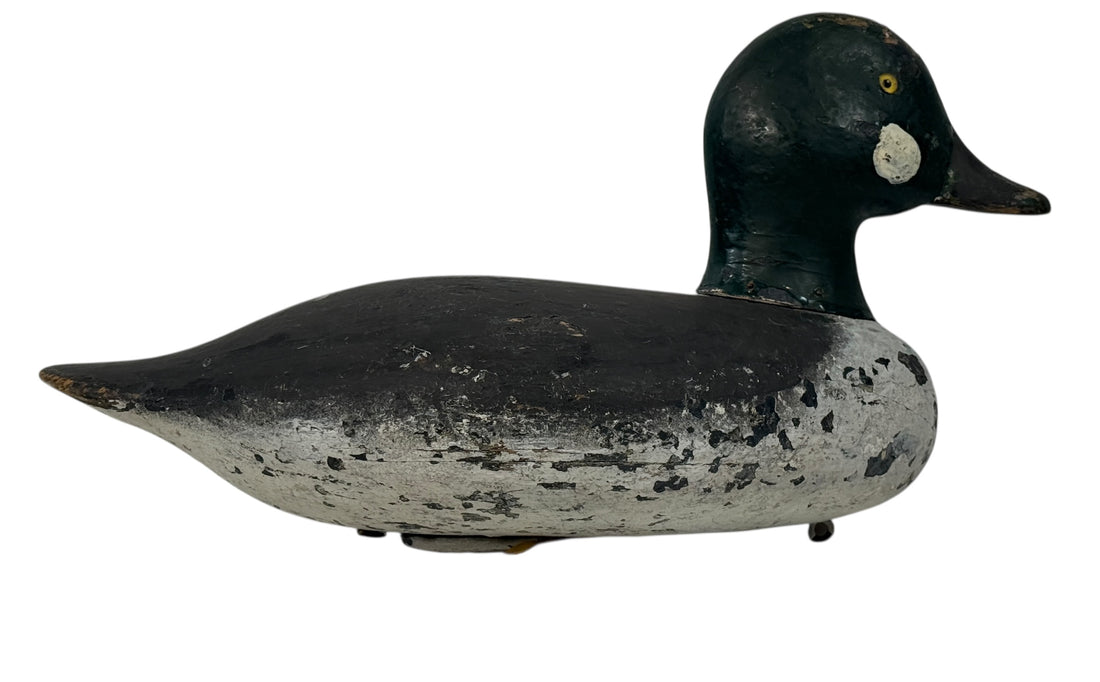Vintage Quebec duck decoy attributed to Rivest of St-Sulpice. Hand-carved folk art with original ballast and authentic working wear. Collectible Canadian carving.