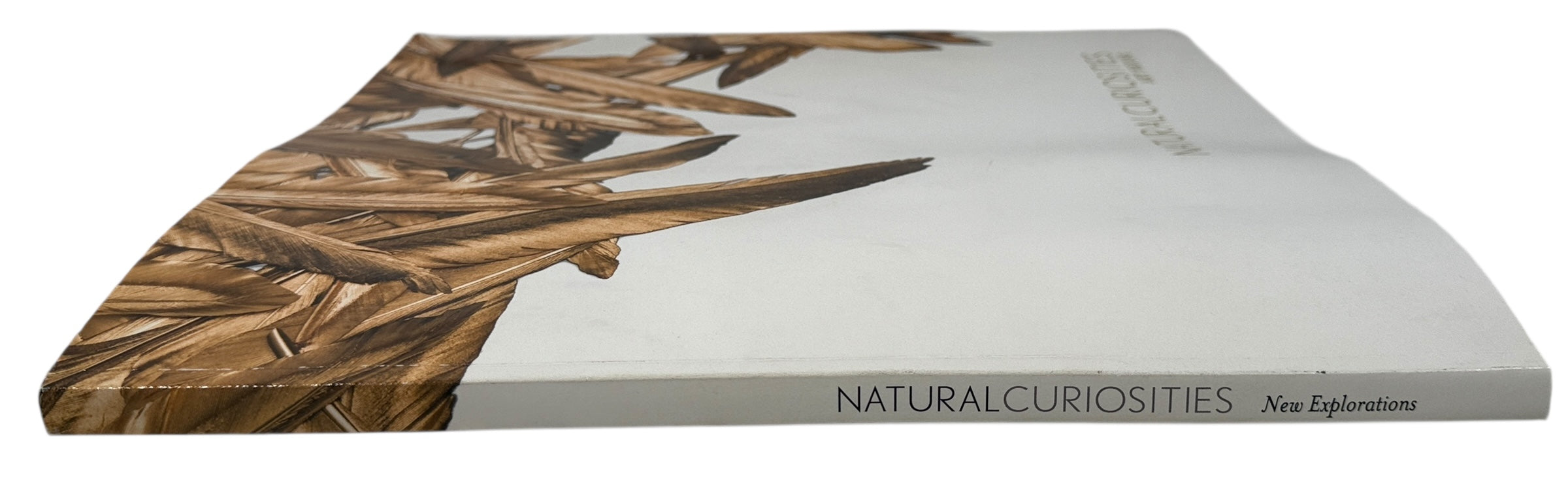 Natural Curiosities New Explorations art catalog with full-color plates and studio imagery. Rare design trade book for collectors, decorators, and visual reference.
