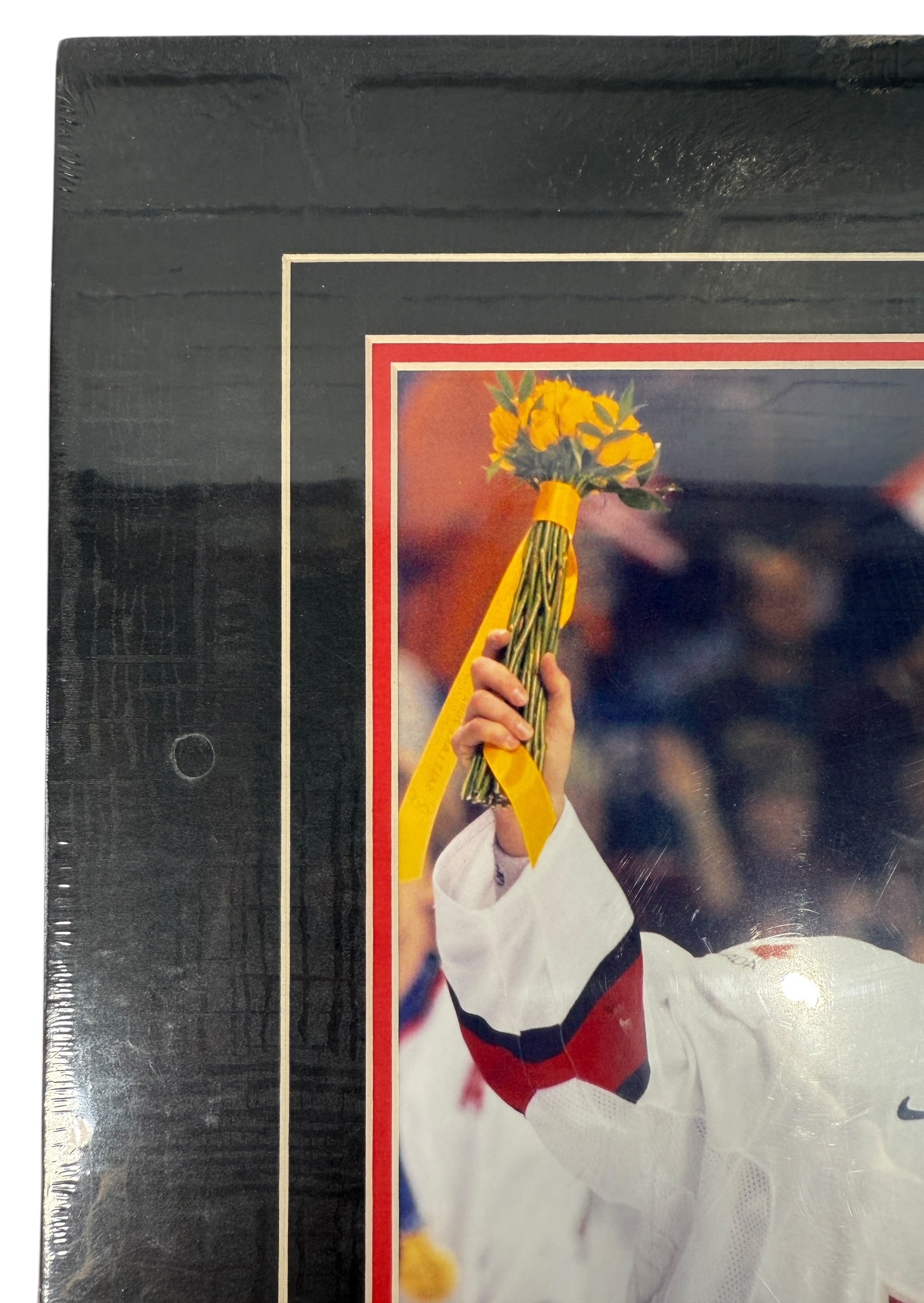 Factory-sealed Mario Lemieux PhotoFile plaque – Team Canada 2002 Olympic Gold Medal Champion, Salt Lake City. Official NHLPA collectible.