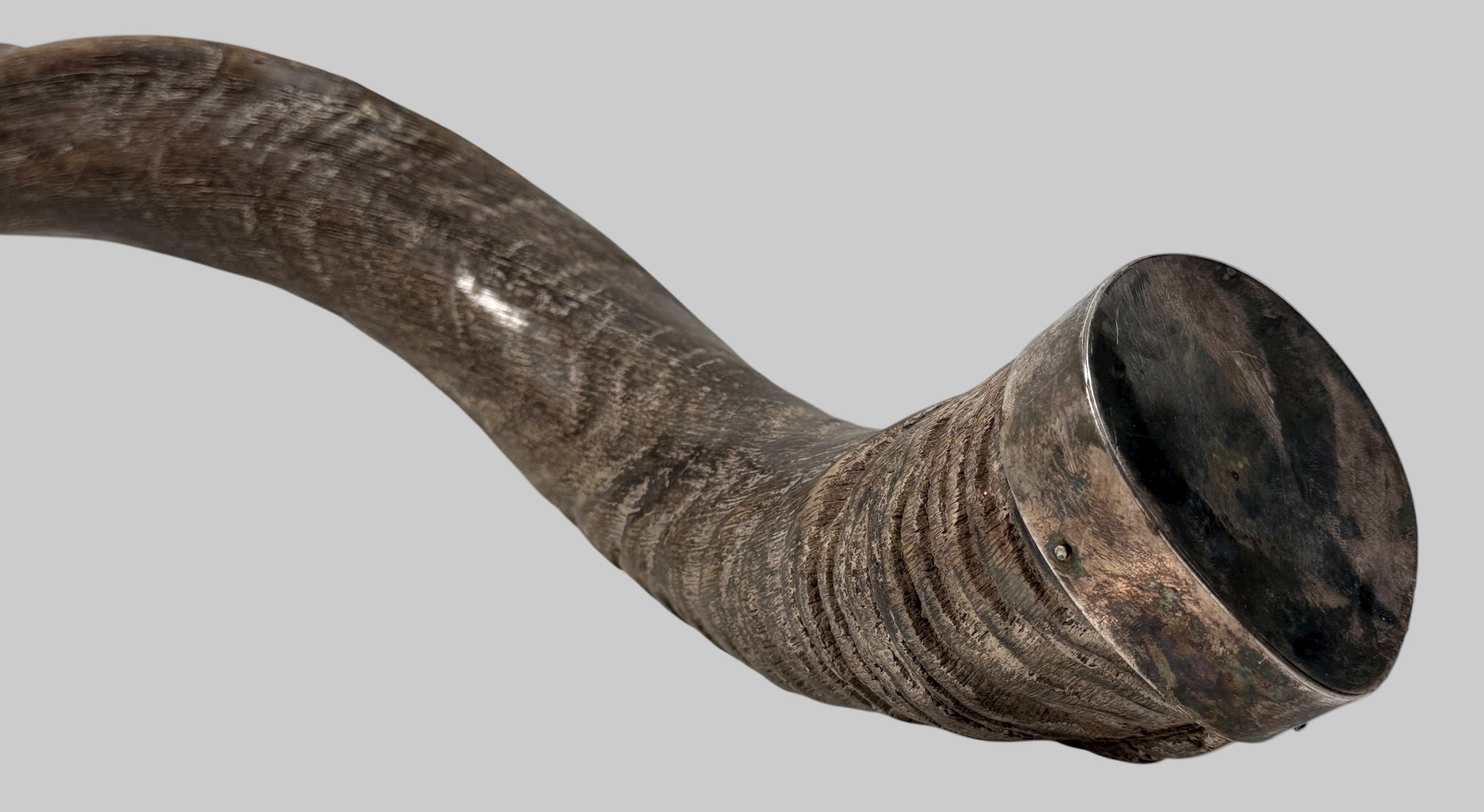 Authentic vintage Kudu shofar with natural patina and silver mouthpiece cap. Hand-carved ceremonial ram’s horn from Israel or South Africa.
