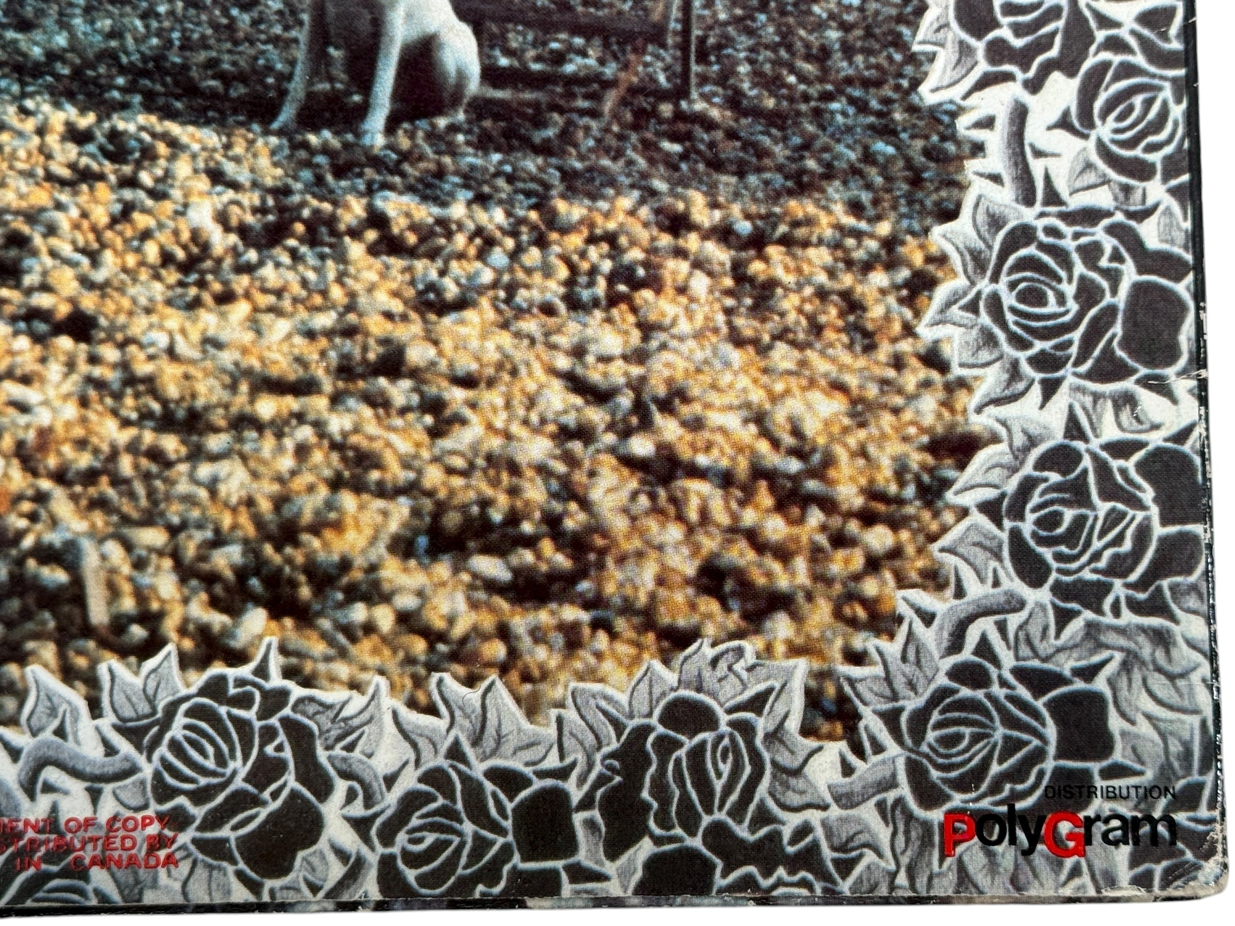 Vintage 1979 The Jam Setting Sons LP on Polydor, U.S. pressing. VG play copy with clean labels and original sleeve. Classic Mod Revival essential.