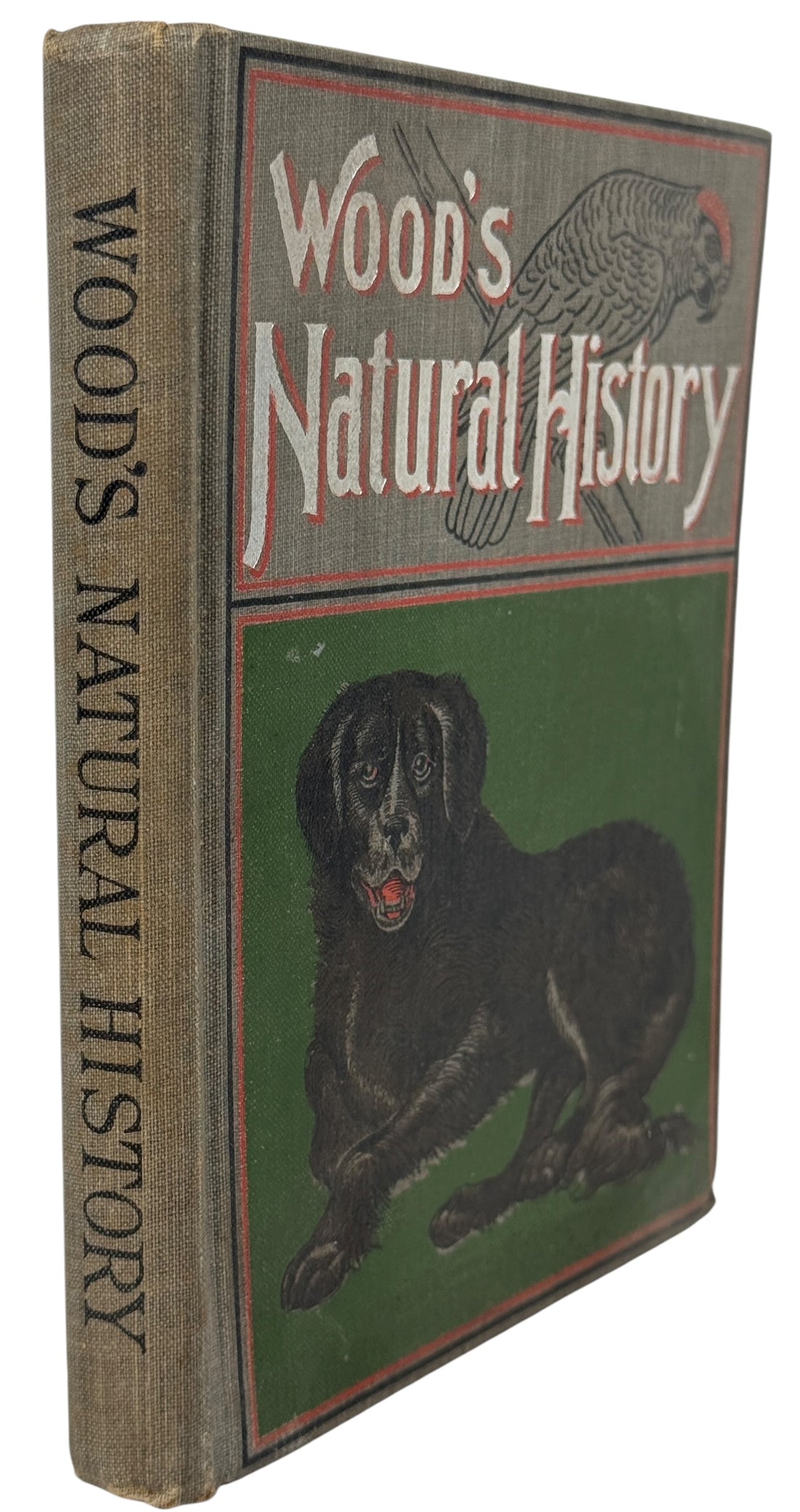 1899 J.G. Wood Illustrated Natural History with colour plates and decorative cover. Antique wildlife book ideal for collectors, home libraries, and vintage décor.