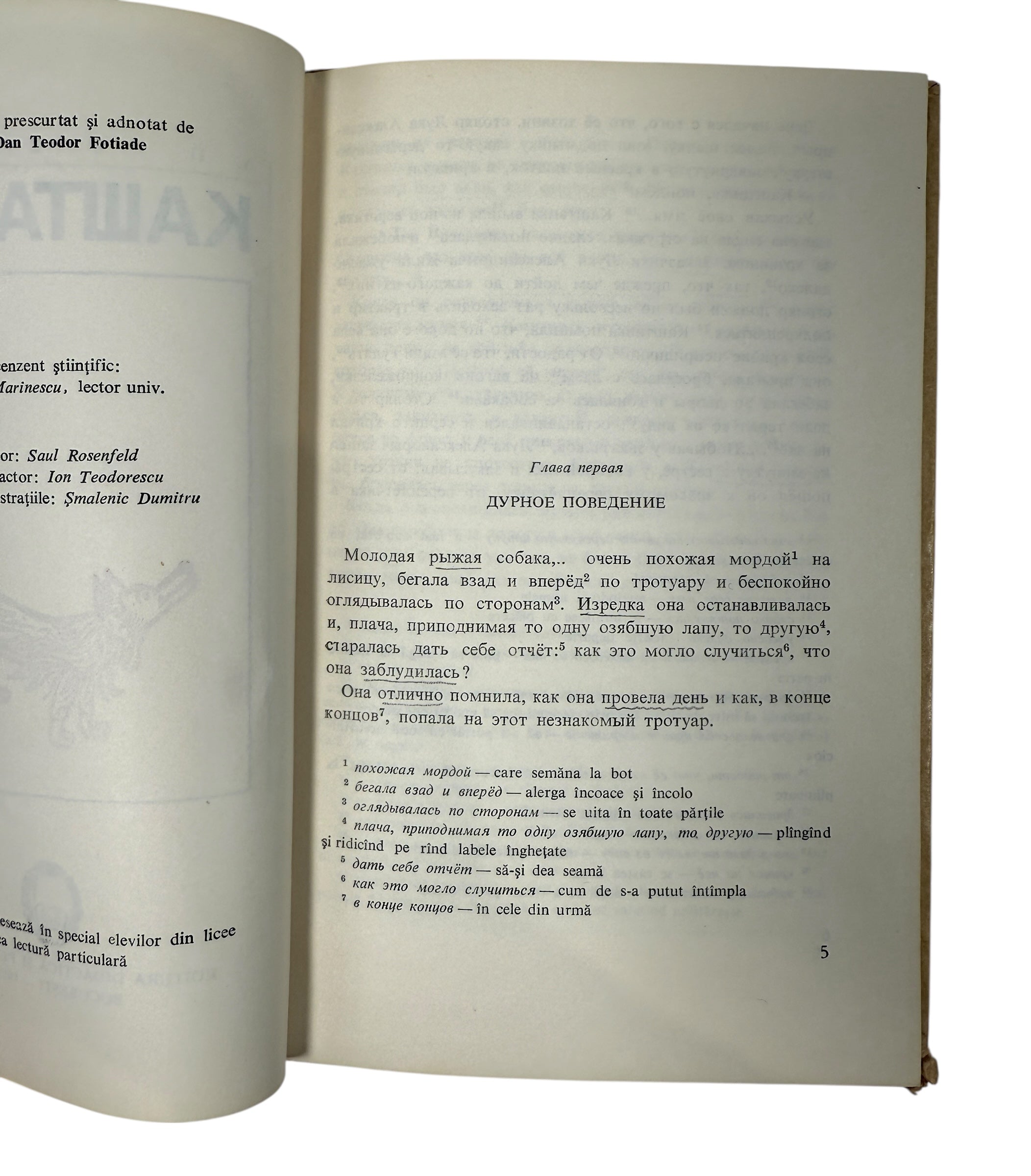 1971 Romanian illustrated edition of Chekhov’s Kaștanka. Cold War–era paperback with striking artwork and academic annotations.