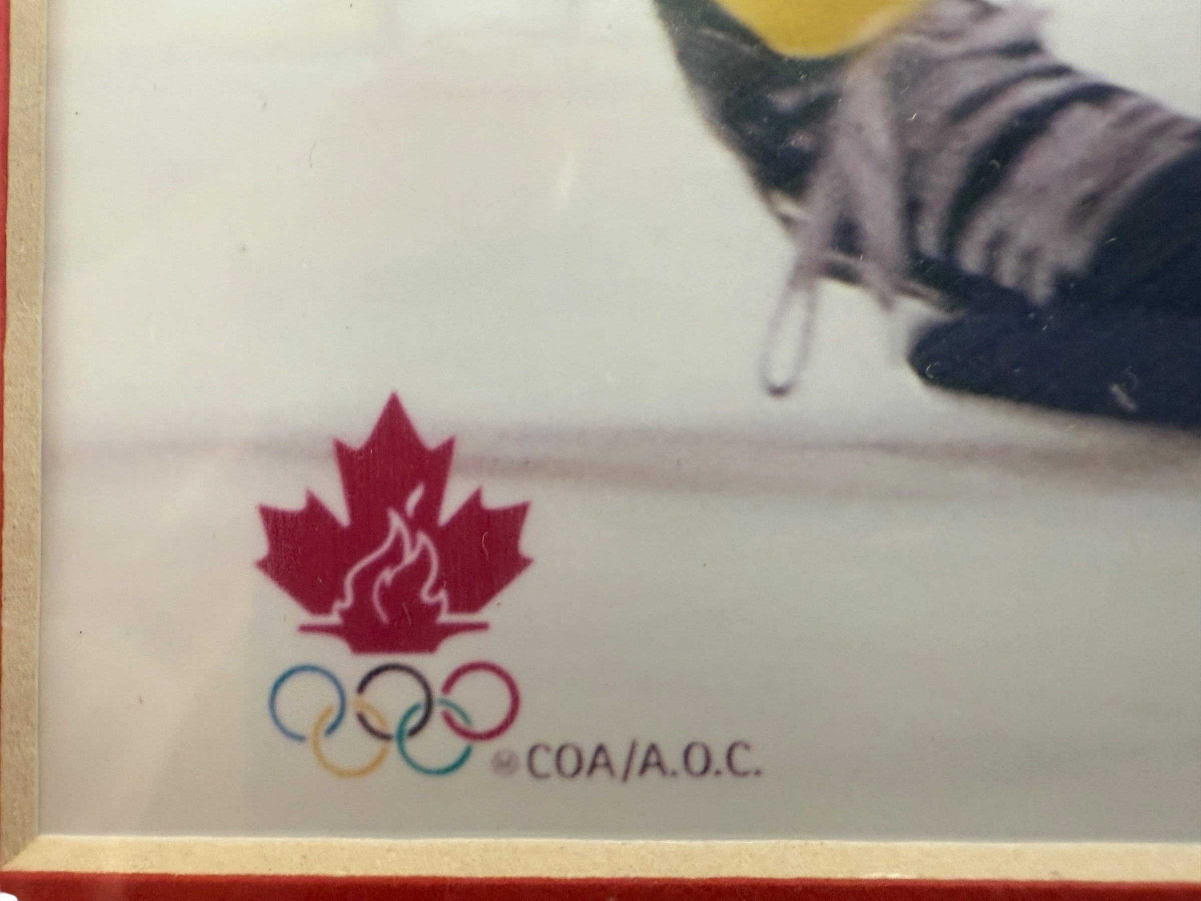 Maple leaf logo with Olympic rings and 'COA/AOC' text on a white background