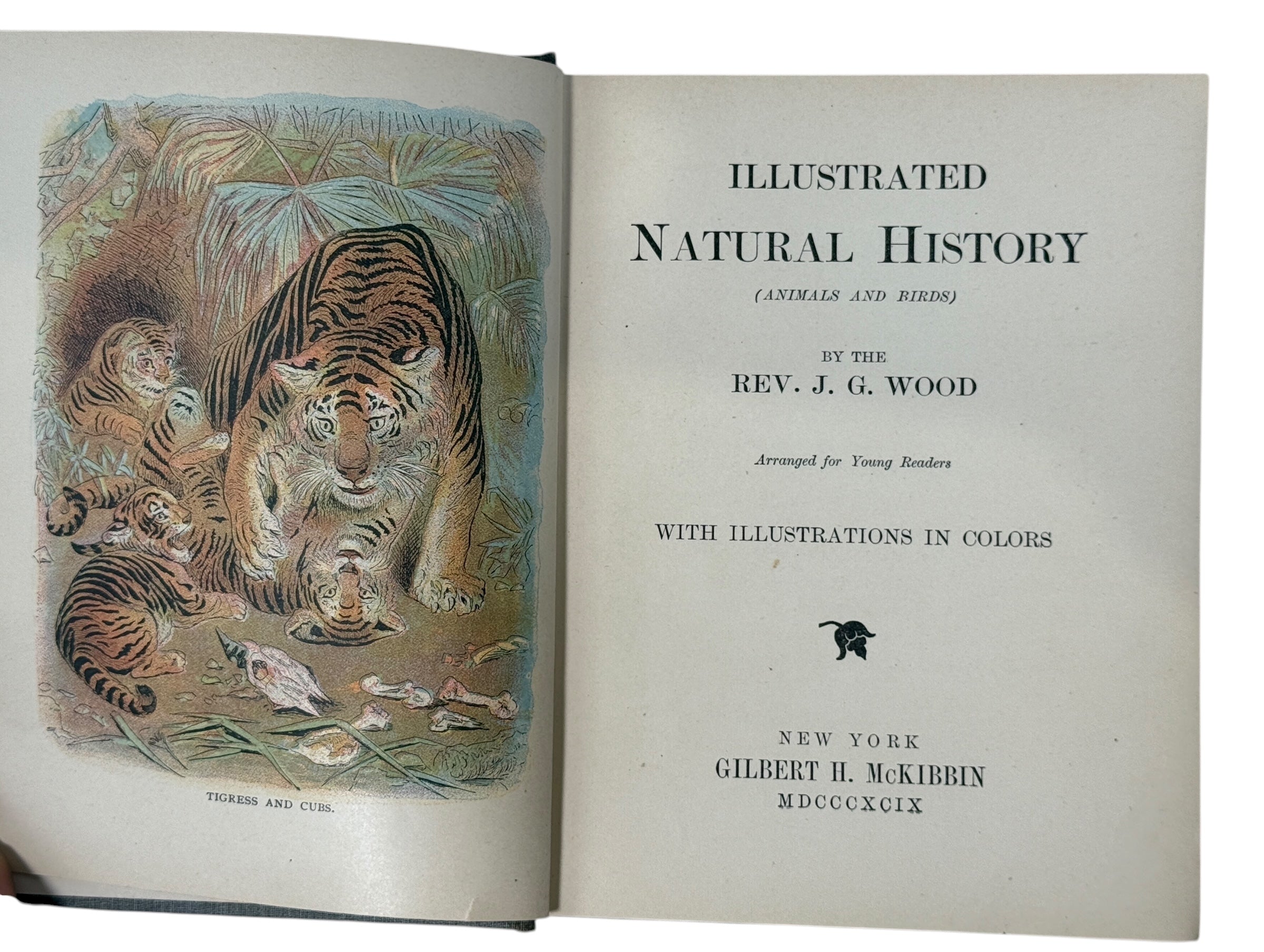 1899 J.G. Wood Illustrated Natural History with colour plates and decorative cover. Antique wildlife book ideal for collectors, home libraries, and vintage décor.