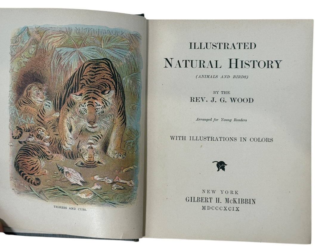 1899 J.G. Wood Illustrated Natural History with colour plates and decorative cover. Antique wildlife book ideal for collectors, home libraries, and vintage décor.