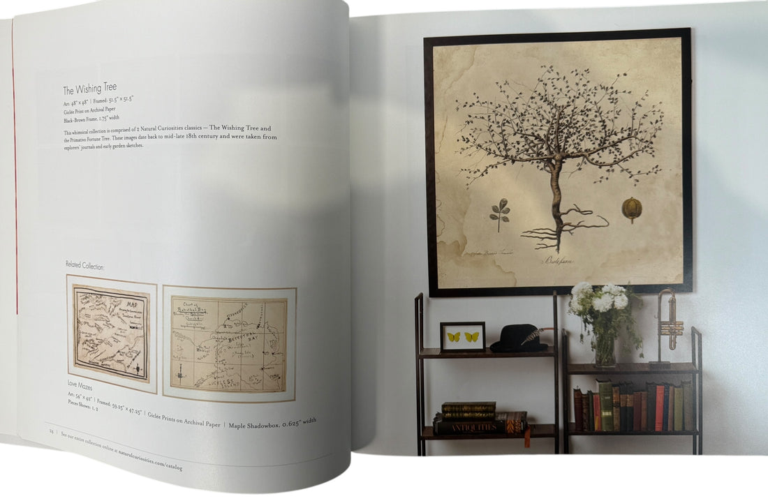 Natural Curiosities New Explorations art catalog with full-color plates and studio imagery. Rare design trade book for collectors, decorators, and visual reference.