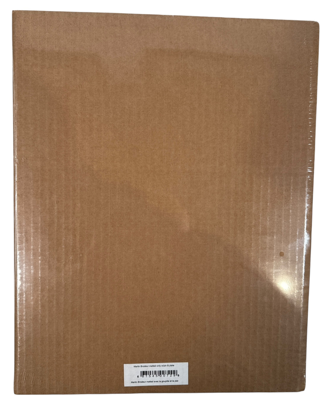 Martin Brodeur 2002 Team Canada Gold Medal Champion Photo File print – licensed Olympic hockey collectible plaque, sealed, excellent condition.