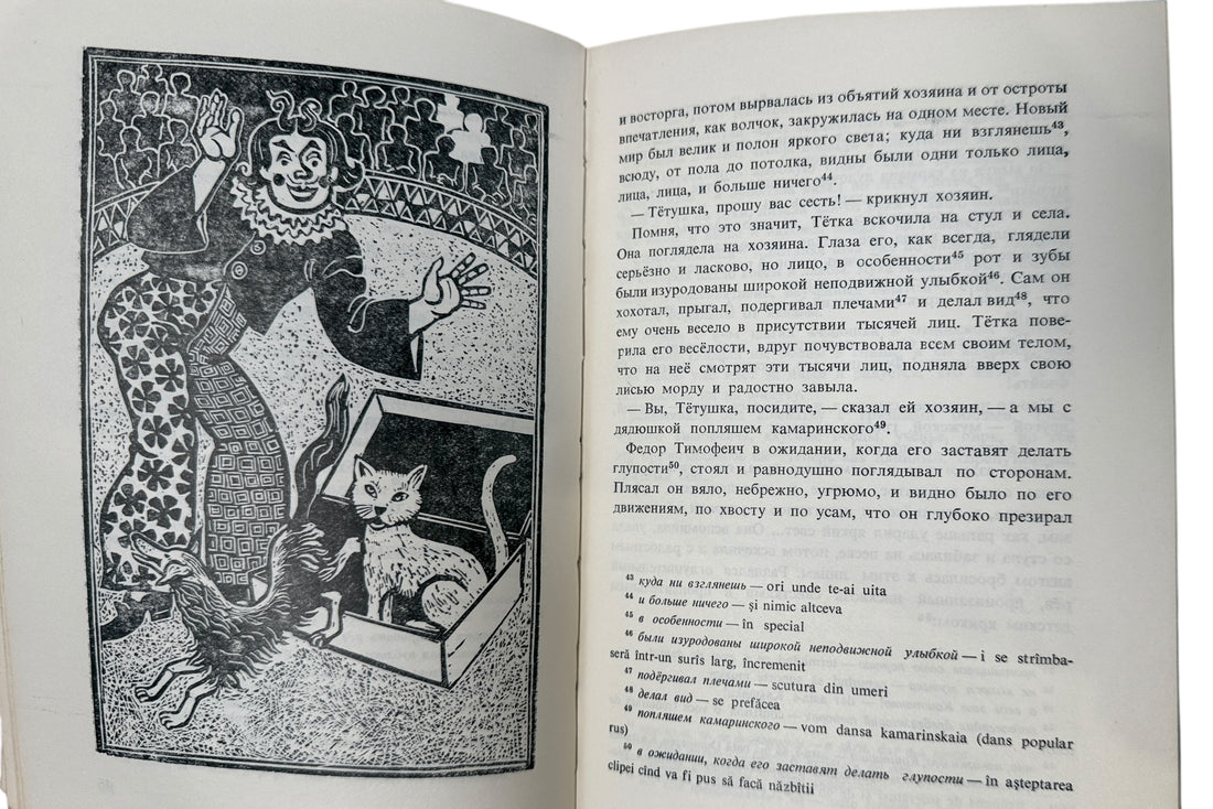 1971 Romanian illustrated edition of Chekhov’s Kaștanka. Cold War–era paperback with striking artwork and academic annotations.