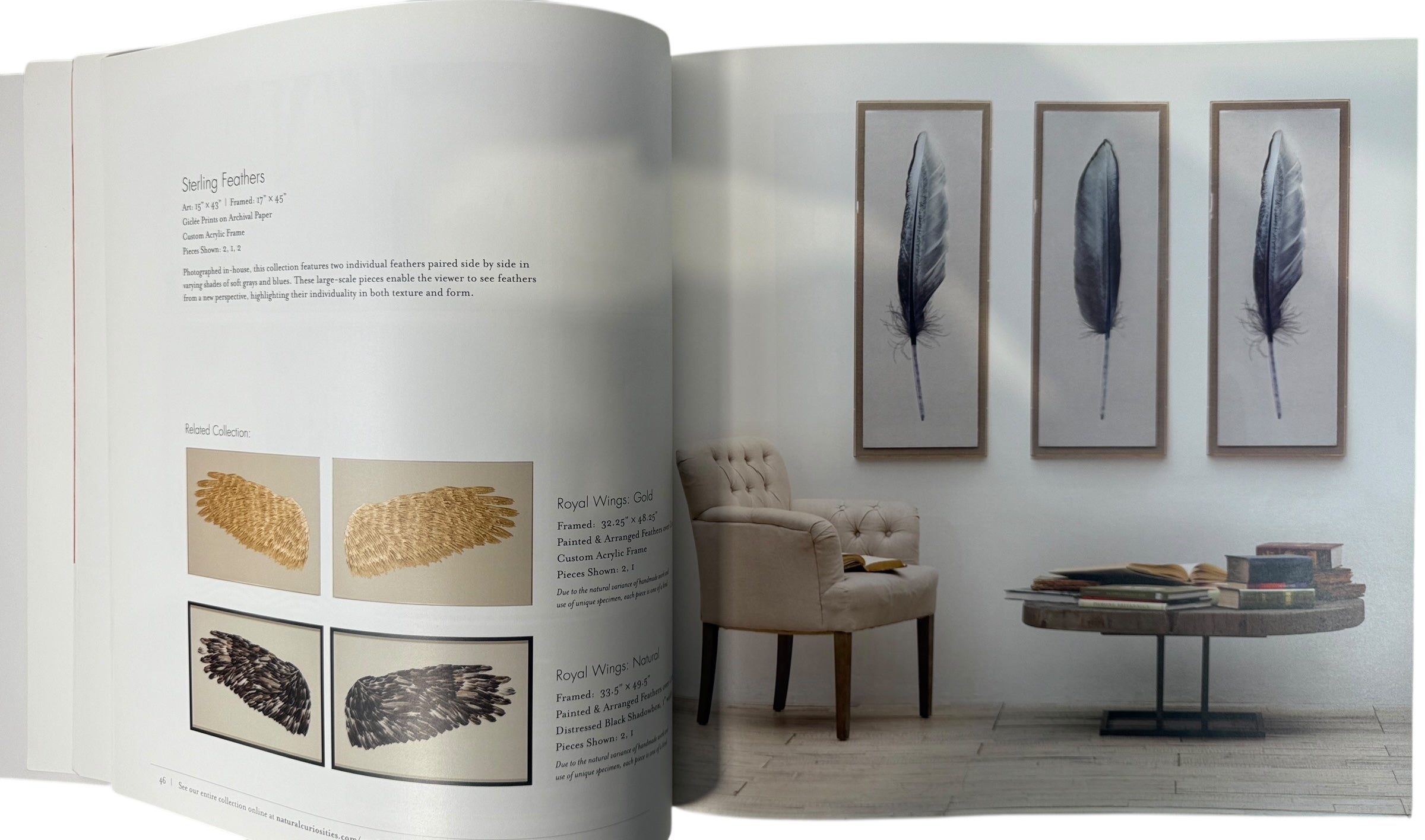 Natural Curiosities, Art Catalog – New Explorations Lookbook.