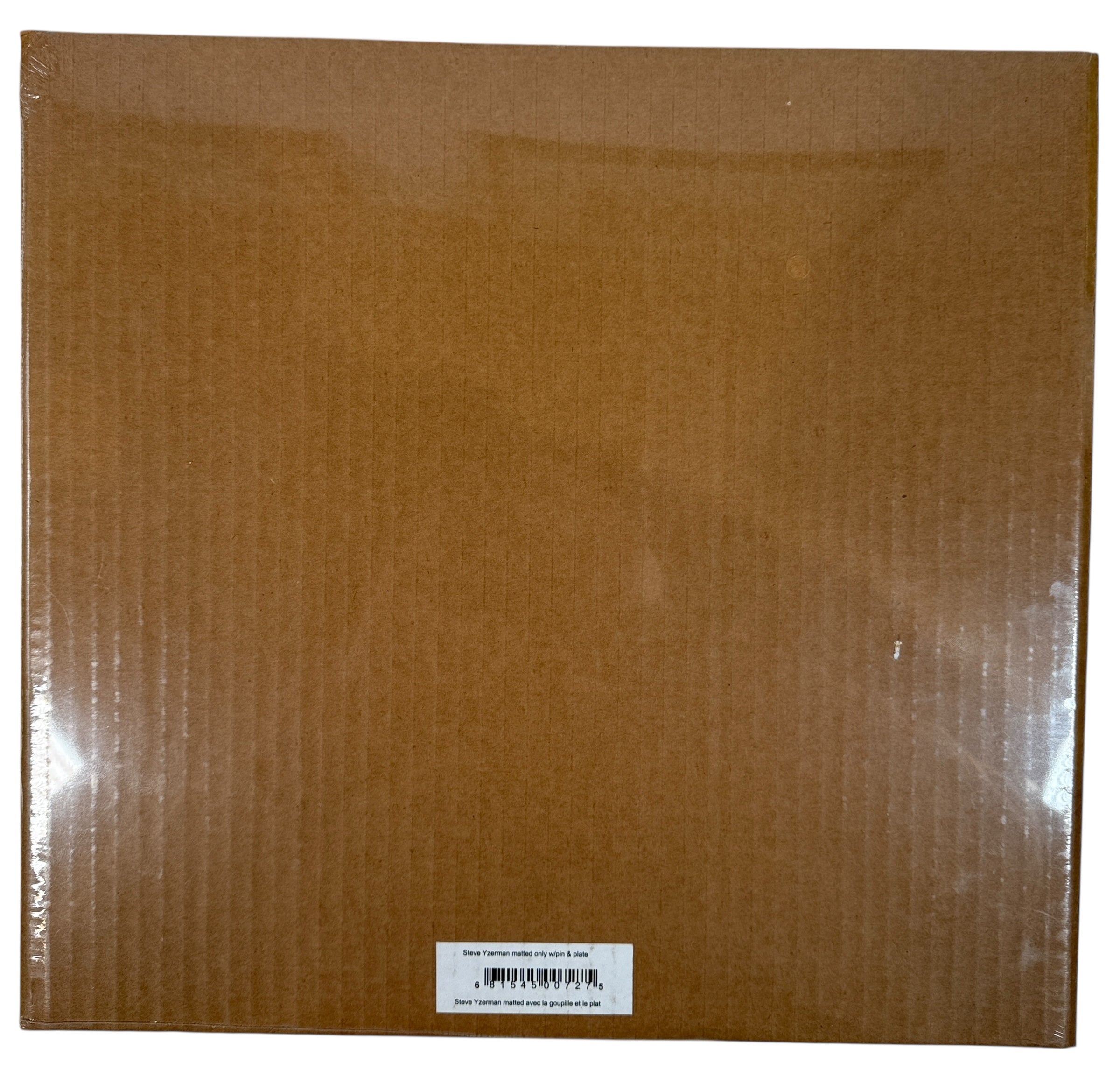 Steve Yzerman Team Canada – Gold Medal Champion, Salt Lake City 2002 – Photo File Framed Plaque (Sealed)