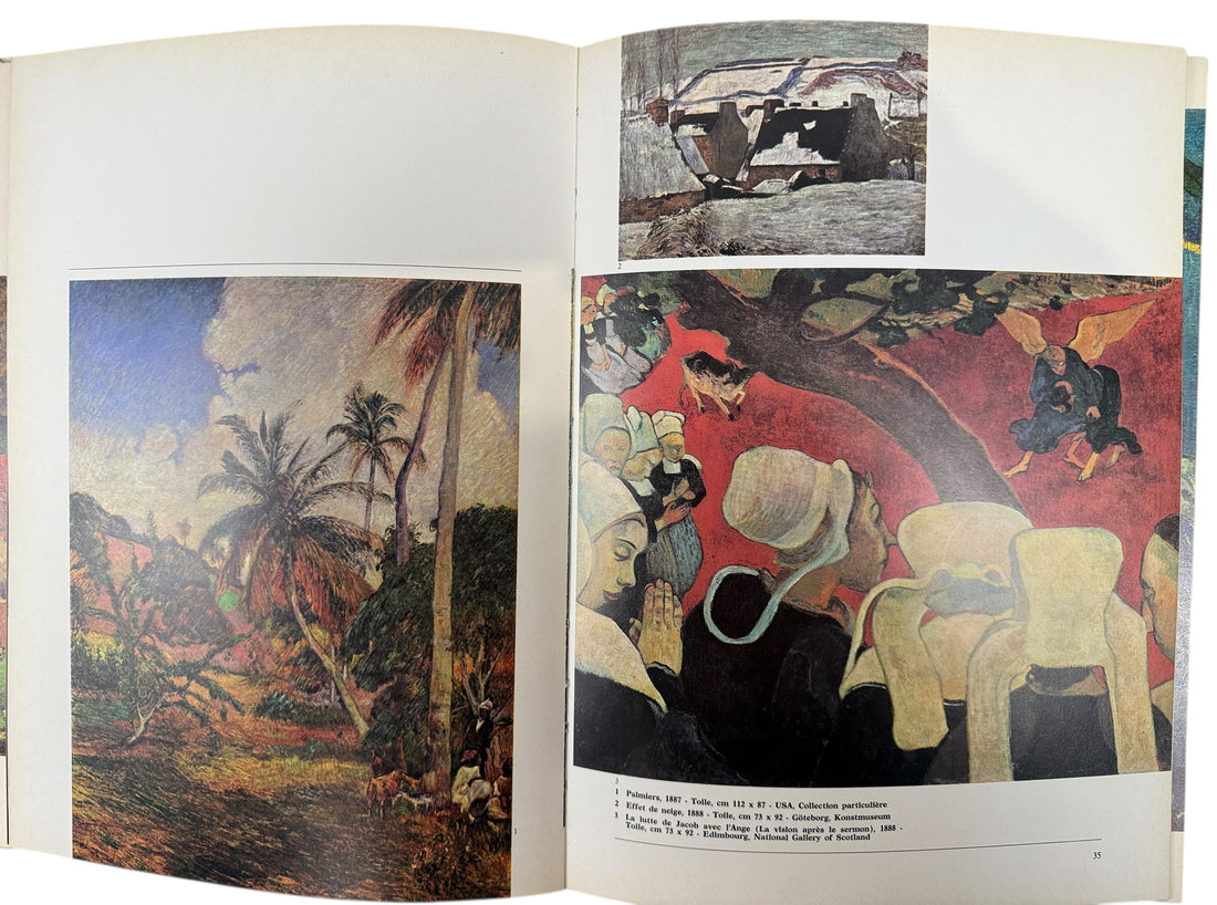 Vintage French Gauguin art monograph by Raymond Cogniat. Les Impressionnistes series, printed in Italy c.1974, with colour plates and essays.