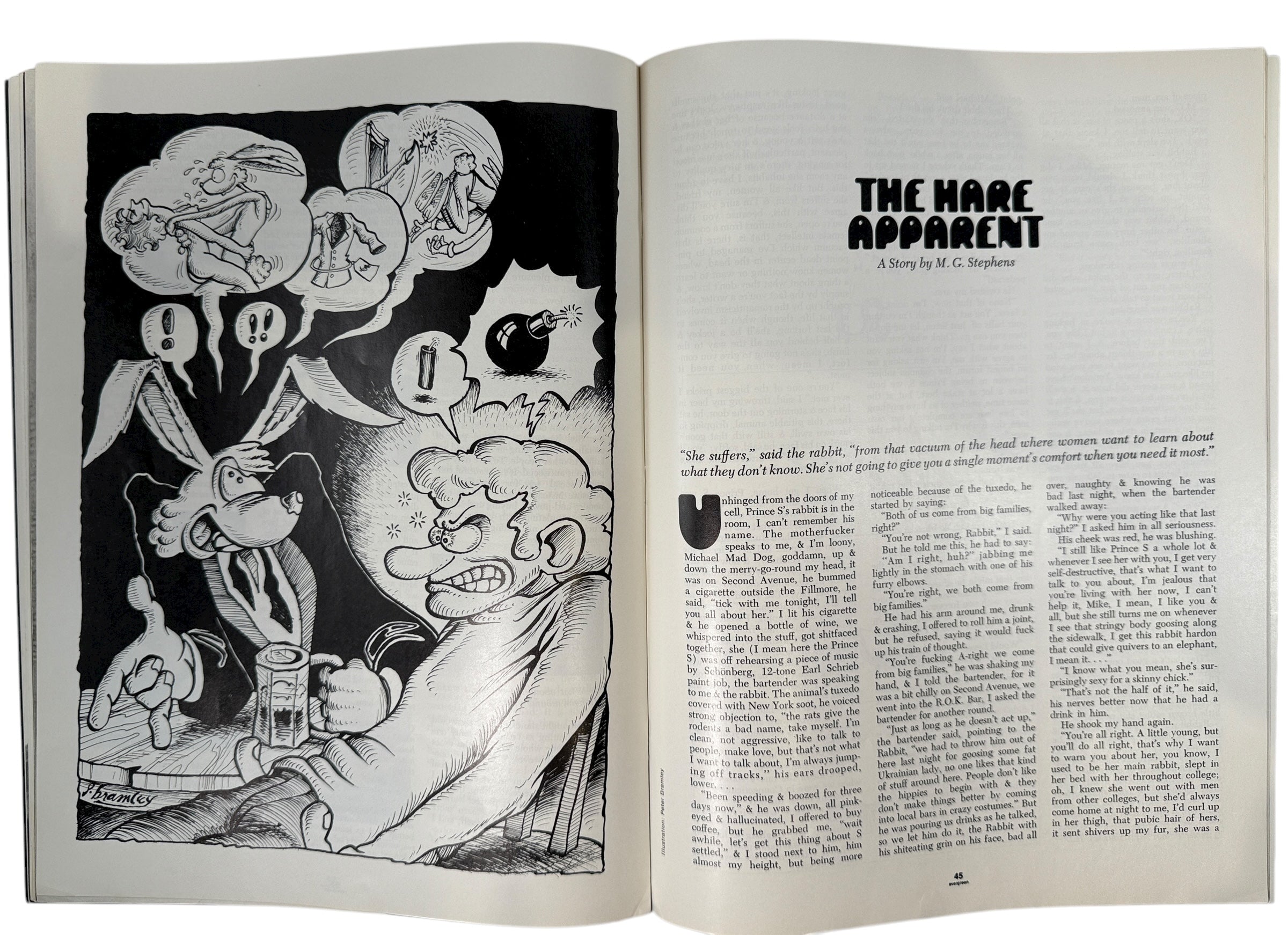 Evergreen Review No. 87, Feb 1971 – Lane Pederson cover with works by Amiri Baraka, Mike Royko &amp; others. Classic avant-garde literary magazine.