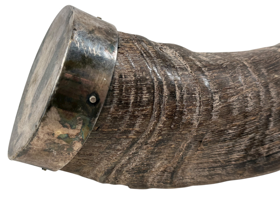 Authentic vintage Kudu shofar with natural patina and silver mouthpiece cap. Hand-carved ceremonial ram’s horn from Israel or South Africa.
