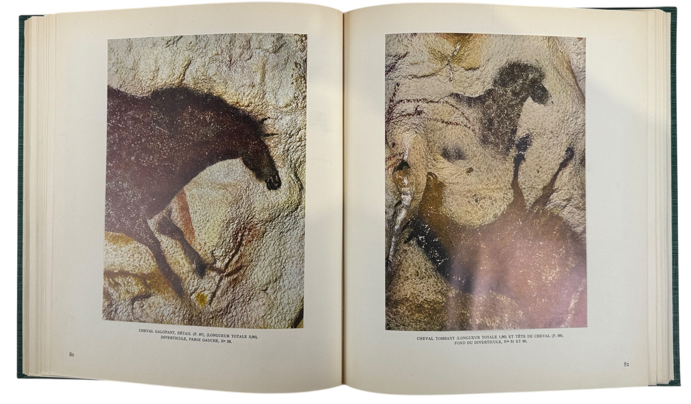 Vintage 1955 Skira “Lascaux ou la Naissance de l'Art” — Georges