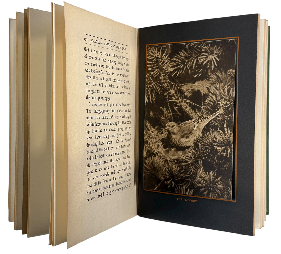 Early 1900s Oliver G. Pike wildlife photography book with 60 images and gilt cloth cover. Canadian Bell &amp; Cockburn edition in strong condition.