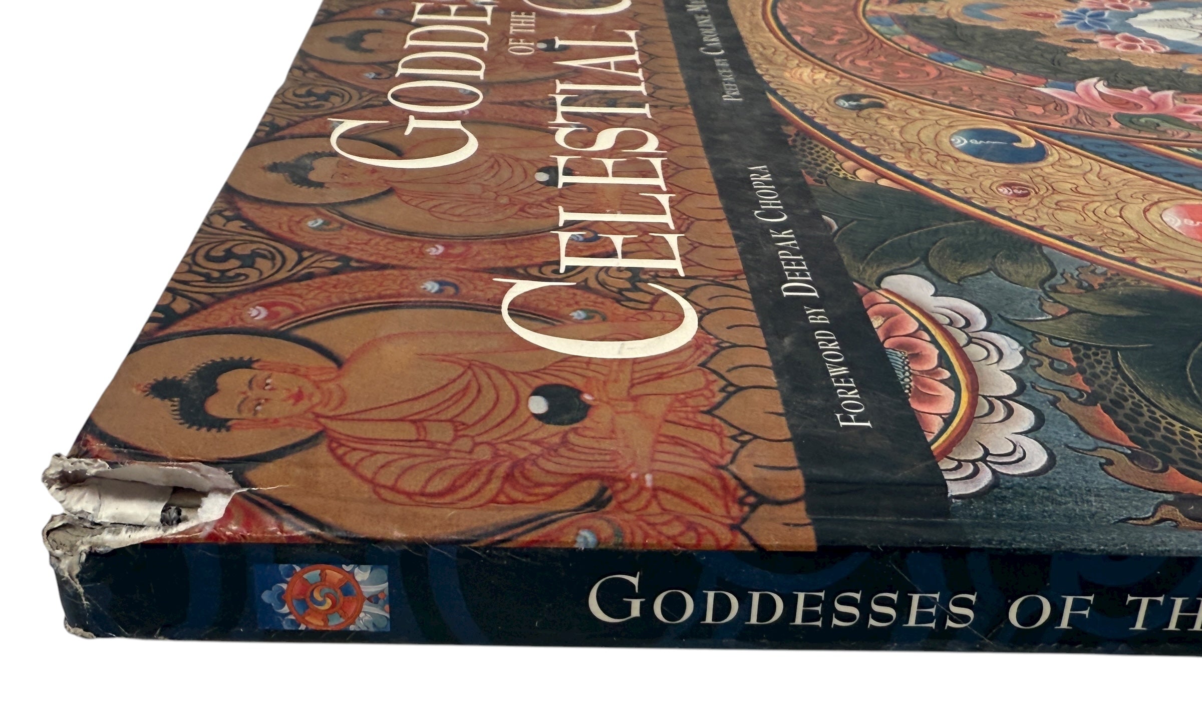 Goddesses of the Celestial Gallery – Romio Shrestha (2002)