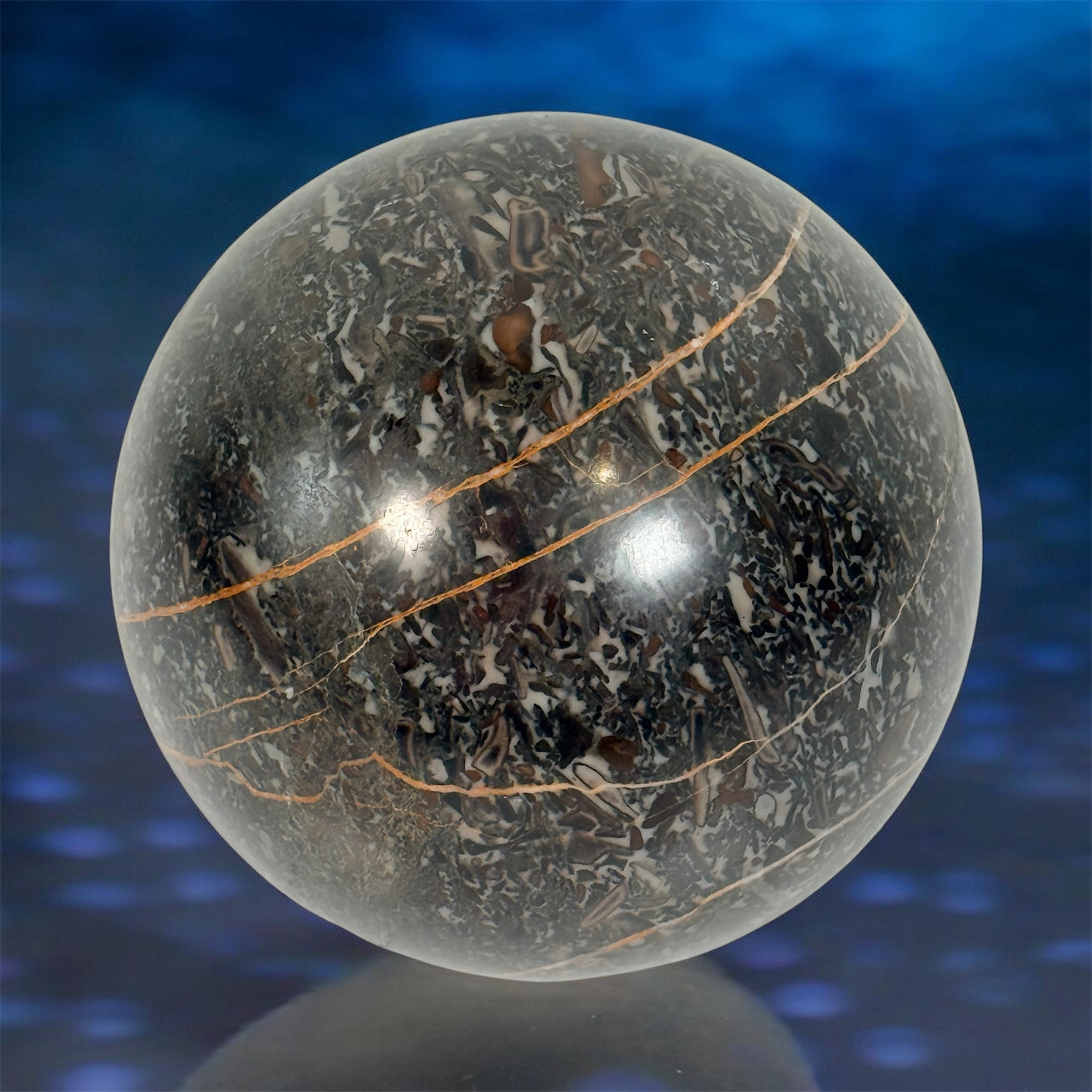 Large Orthoceras fossil sphere from Morocco with visible prehistoric shell fossils in polished black stone. Natural history décor collectible display piece.