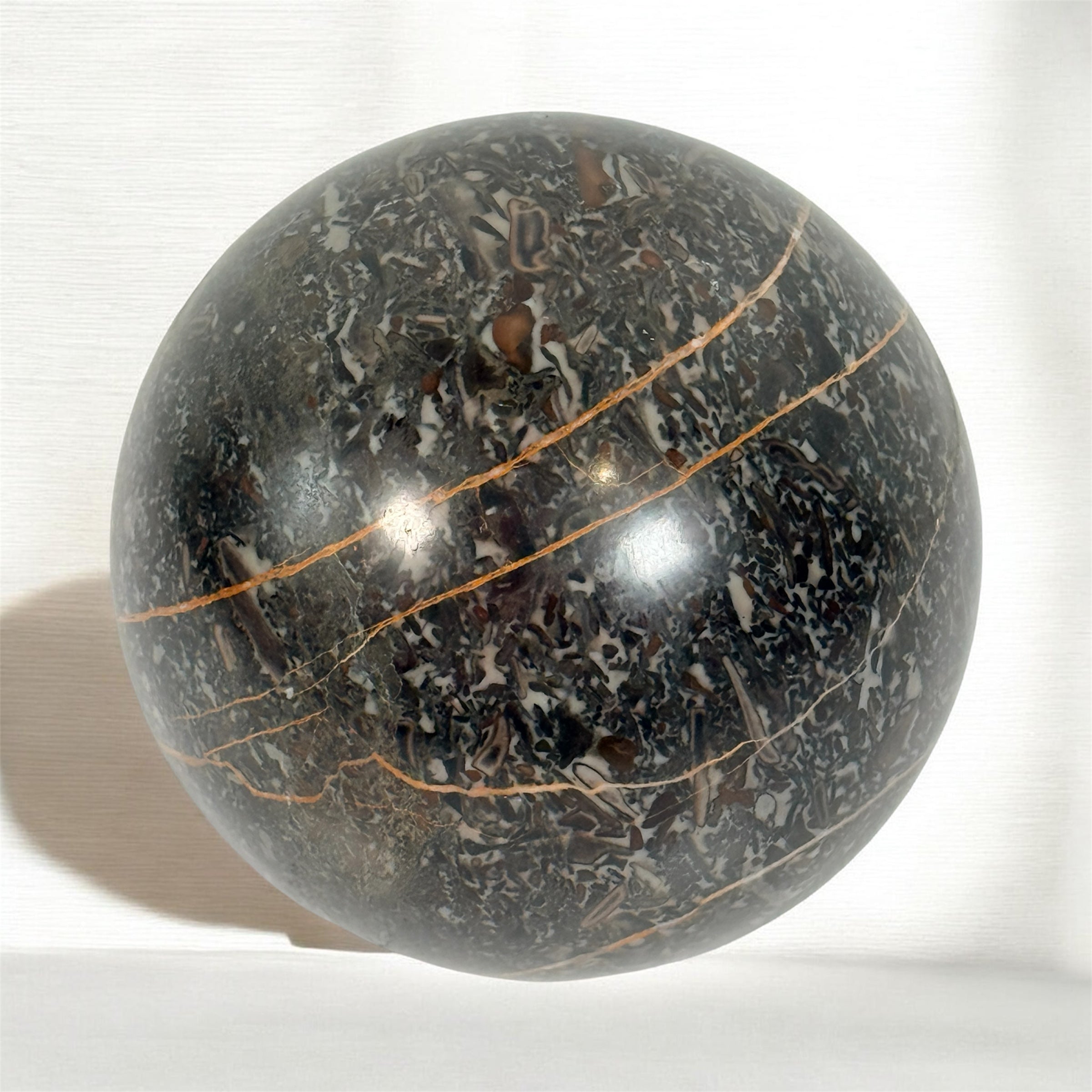 Large Orthoceras fossil sphere from Morocco with visible prehistoric shell fossils in polished black stone. Natural history décor collectible display piece.
