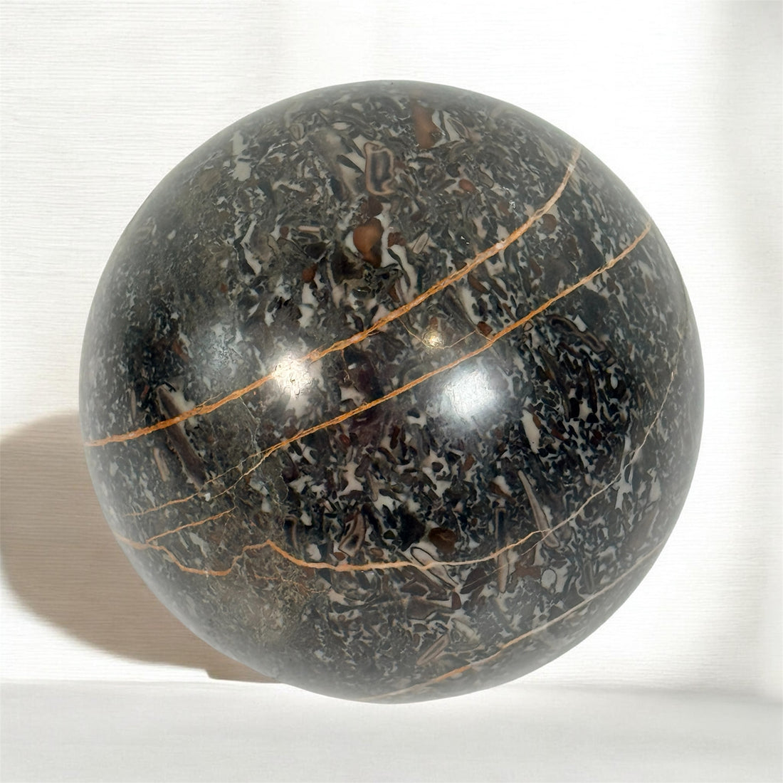 Large Orthoceras fossil sphere from Morocco with visible prehistoric shell fossils in polished black stone. Natural history décor collectible display piece.
