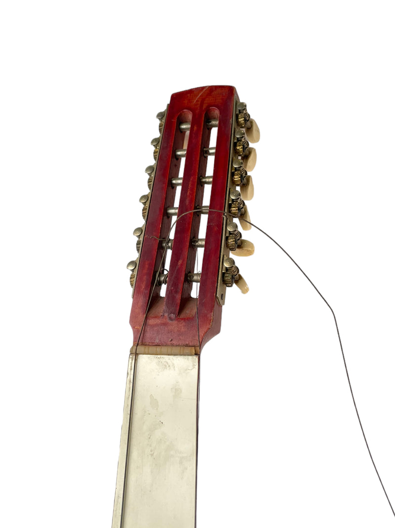 Zeynel Abidin Cümbüş 12 String