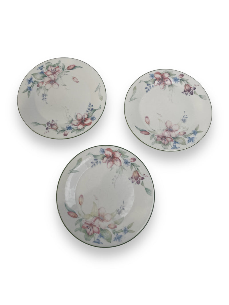 Vintage 1991 Carmel by ROYAL DOULTON Set of Dinner and Dessert Plates