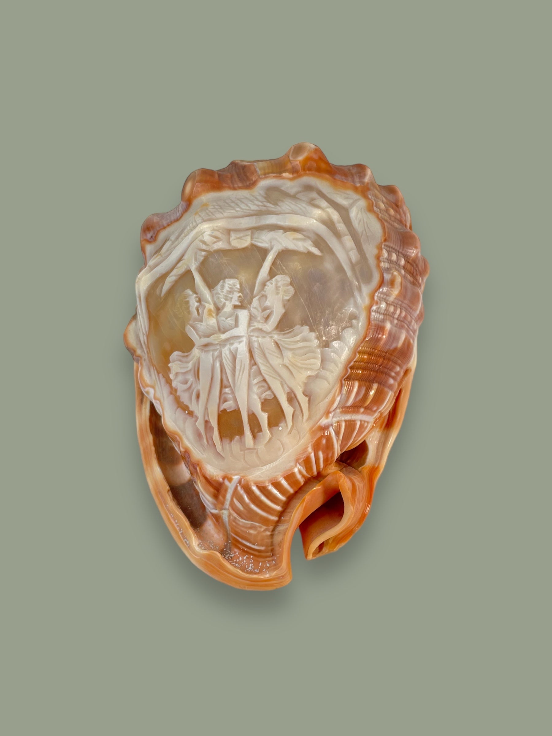 Vintage Shell Sculpted in Cameo from the 19th century