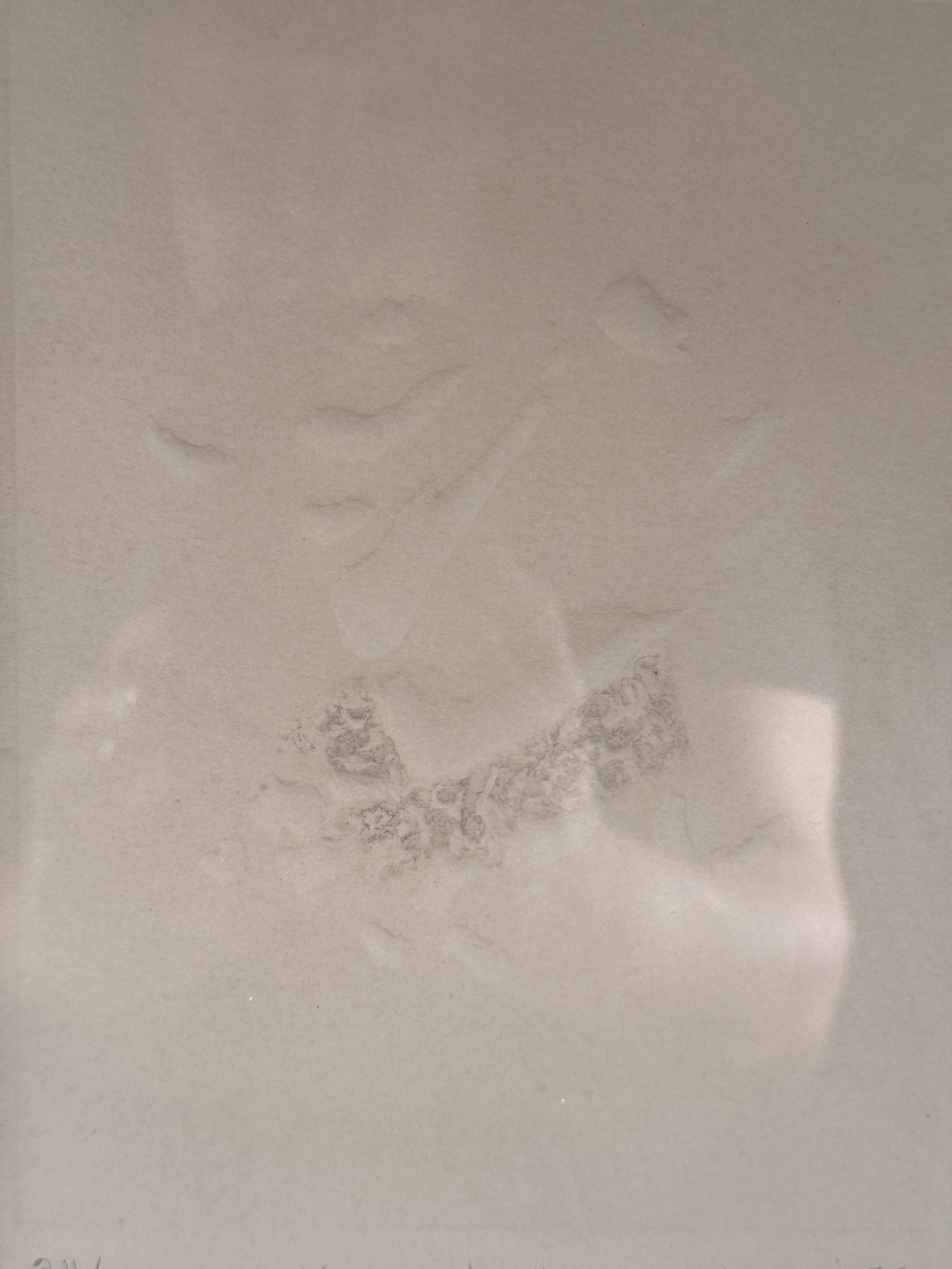 Abstract art with blurred shapes on a light gray background