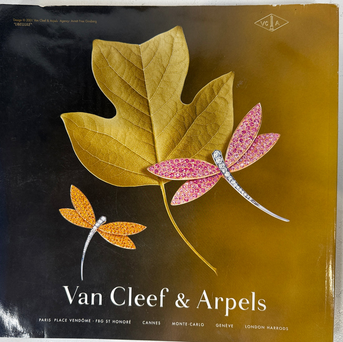 Spoon Magazine Volume 8 (2001) –  Collectible, Anatomica Universalis