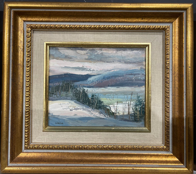 Belle peinture à l'huile sur carton par un artiste canadien, magnifiquement encadrée, signée S. Berne 8"x10"