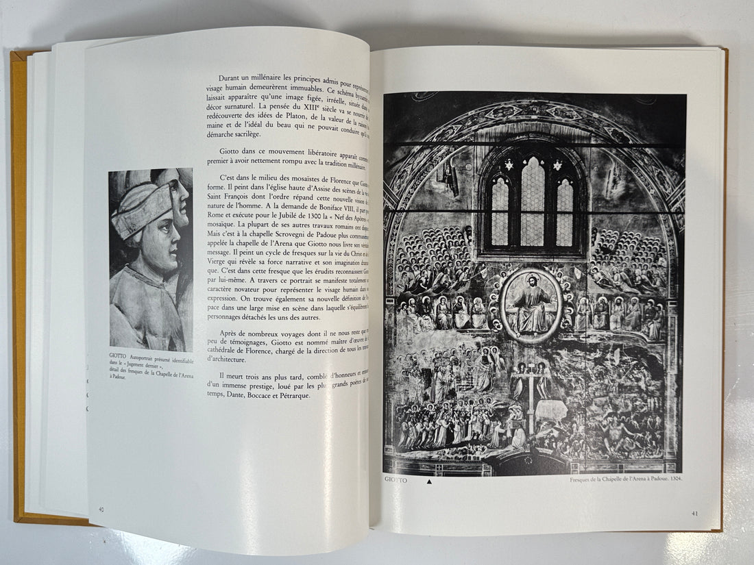 Les Peintres par Eux-Mêmes – Faux-Suede Art Book w/ Slipcase (Giotto to Miró)