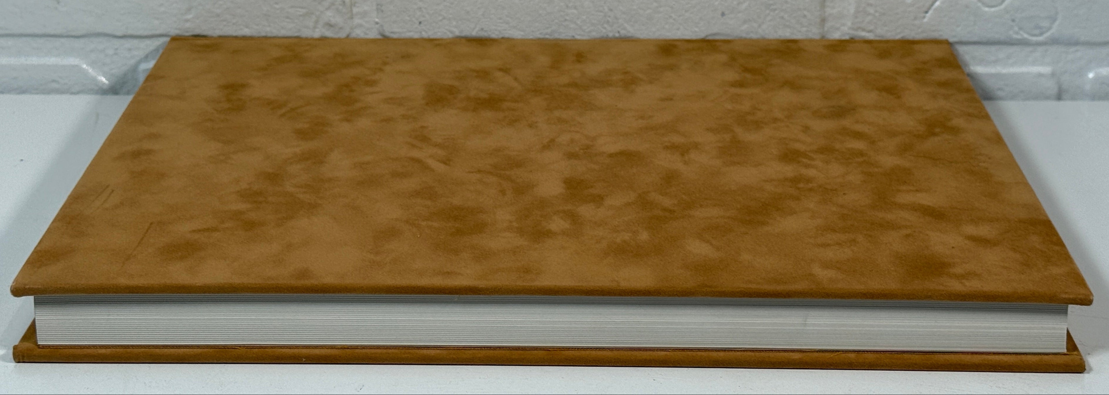 Les Peintres par Eux-Mêmes – Faux-Suede Art Book w/ Slipcase (Giotto to Miró)