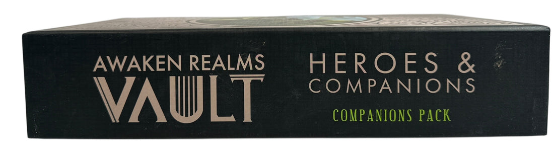 Awaken Realms Heroes and Companions bronze miniature vault set. Premium resin tabletop upgrade miniatures for collectors, RPG display, and board game enthusiasts.