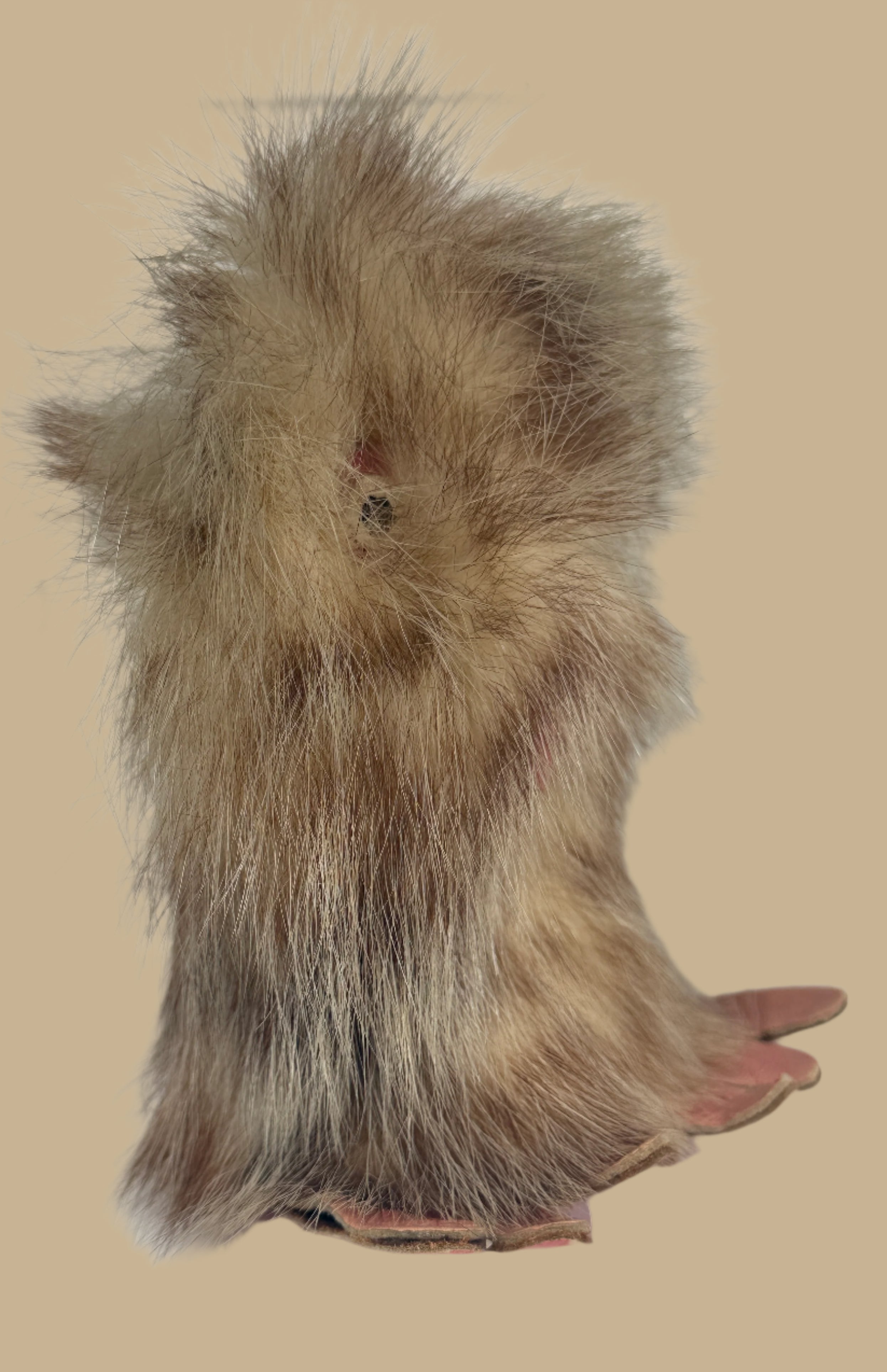 Furry animal toy on a white background