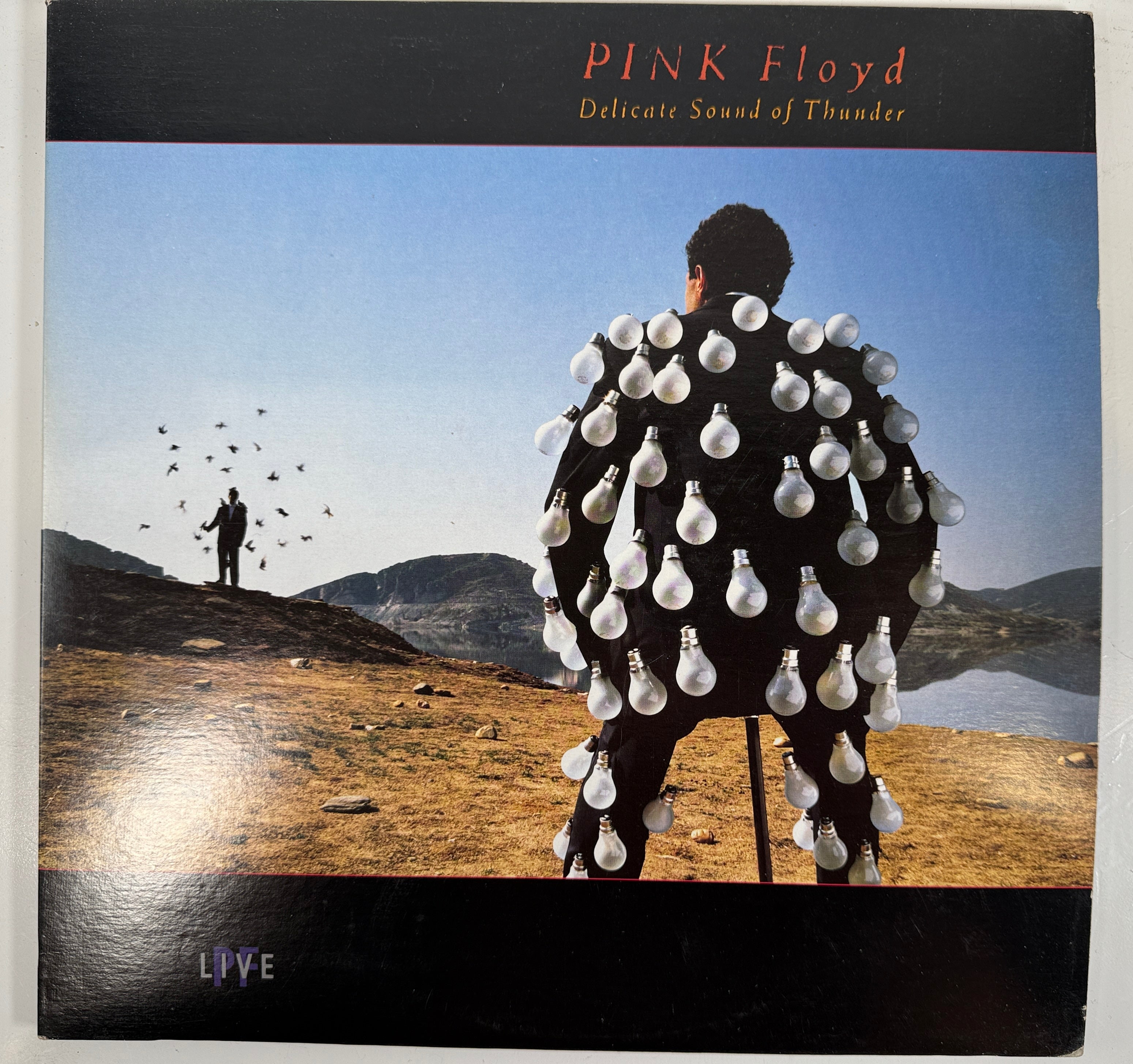 Pink Floyd- Delicate Sound of Thunder 2 LP - Columbia, PC2 44484