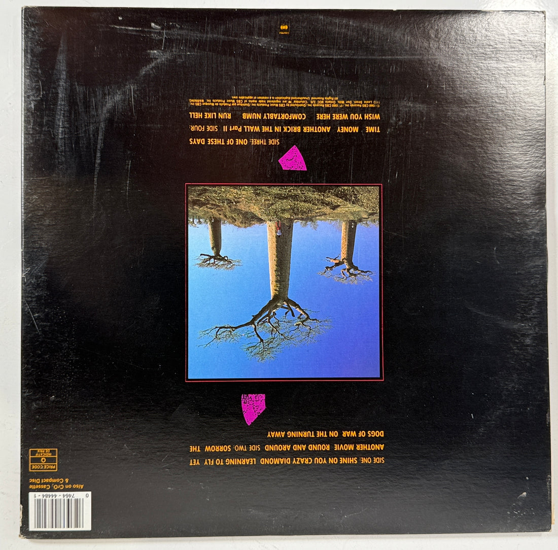 Pink Floyd- Delicate Sound of Thunder 2 LP - Columbia, PC2 44484