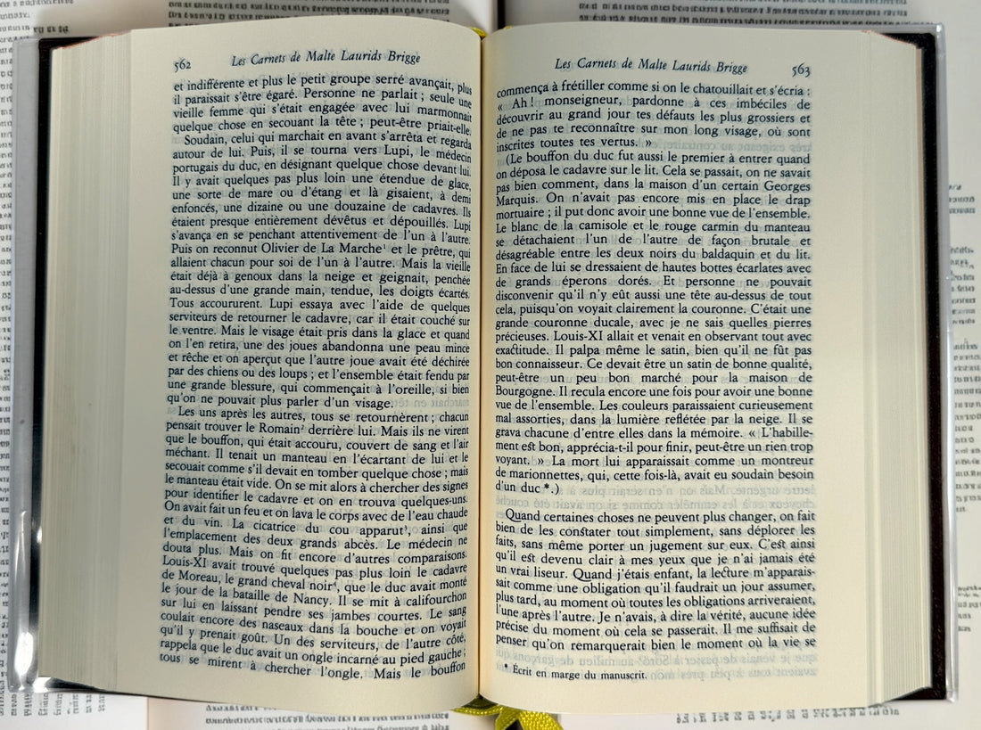 Rainer Maria Rilke Œuvres en prose, 1999 second edition, Bibliothèque de la Pléiade Gallimard, with leather binding, rhodoid and slipcase.