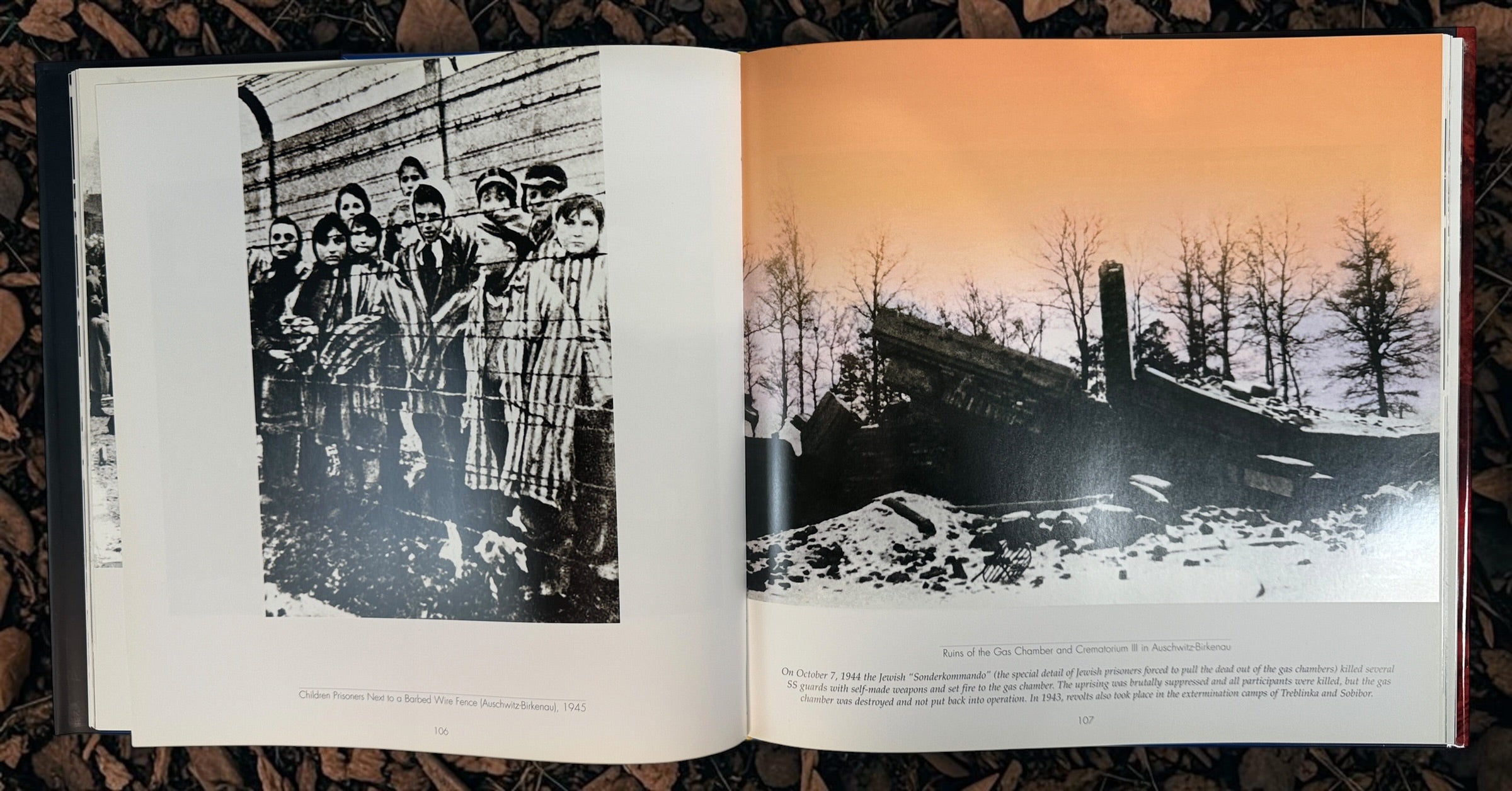Signed 2006 first edition of Danny Taran’s The 4000 Year Journey: In Search of Peace. Inscribed hardcover exploring Jewish history through photography.