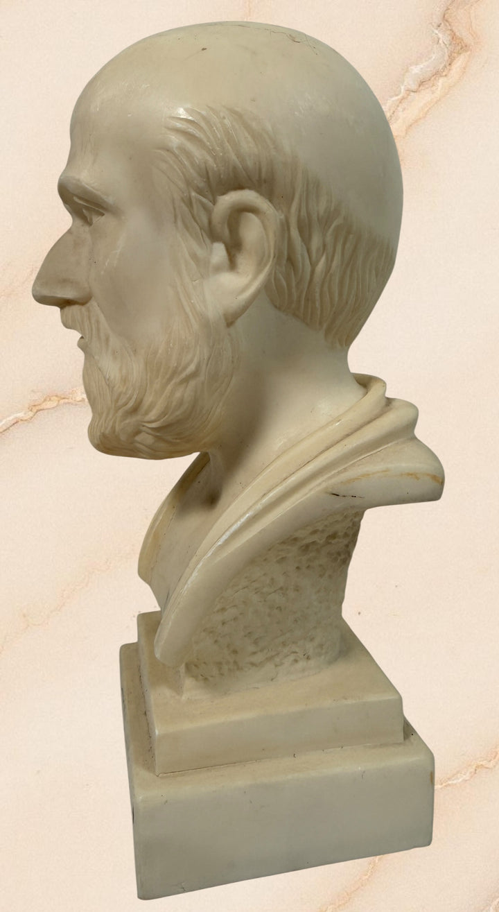 Hippocrates bust sculpture Greek medical statue classic doctor gift academic decor vintage style philosopher bust display piece resin classical figure.