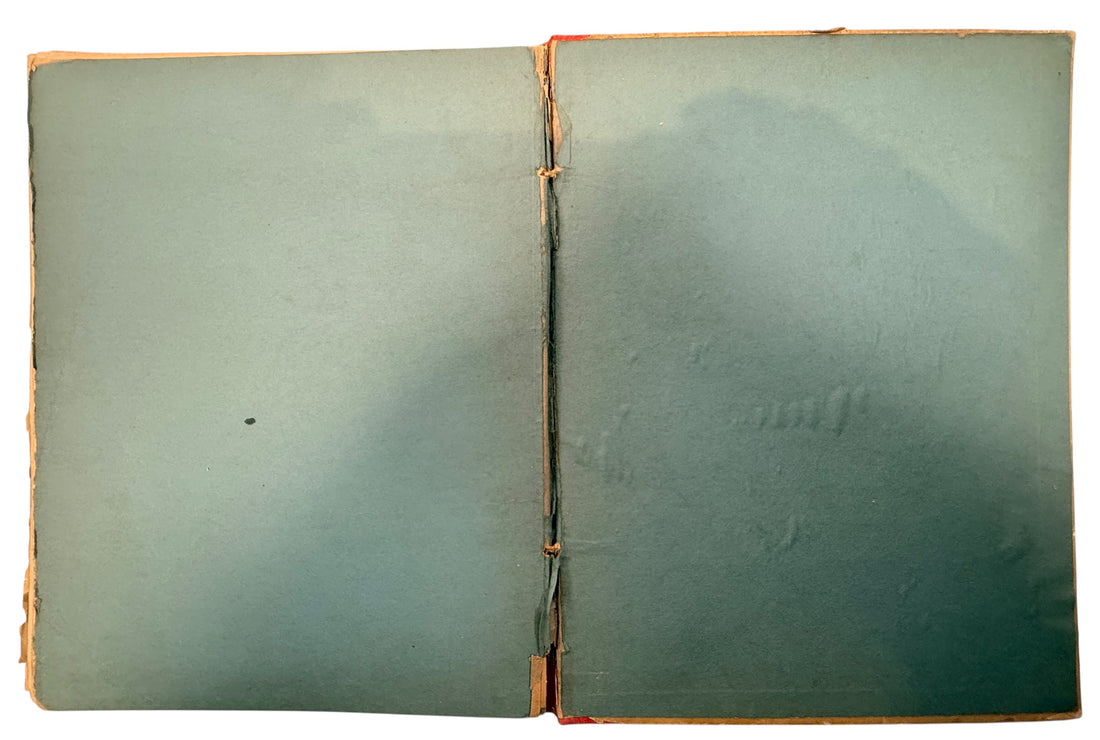 Antique French alphabet book Album Alphabet by E De Liphart Paris illustrated 19th century children’s primer collectible educational book vintage France.