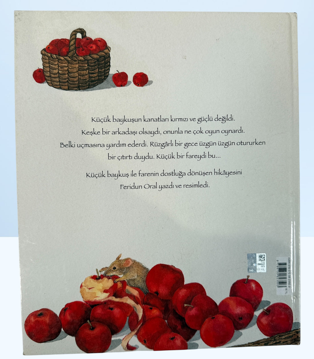 Feridun Oral illustrated Turkish children’s book Kirmizi Kanatli Baykus hardcover owl story picture book collectible kids literature Turkey