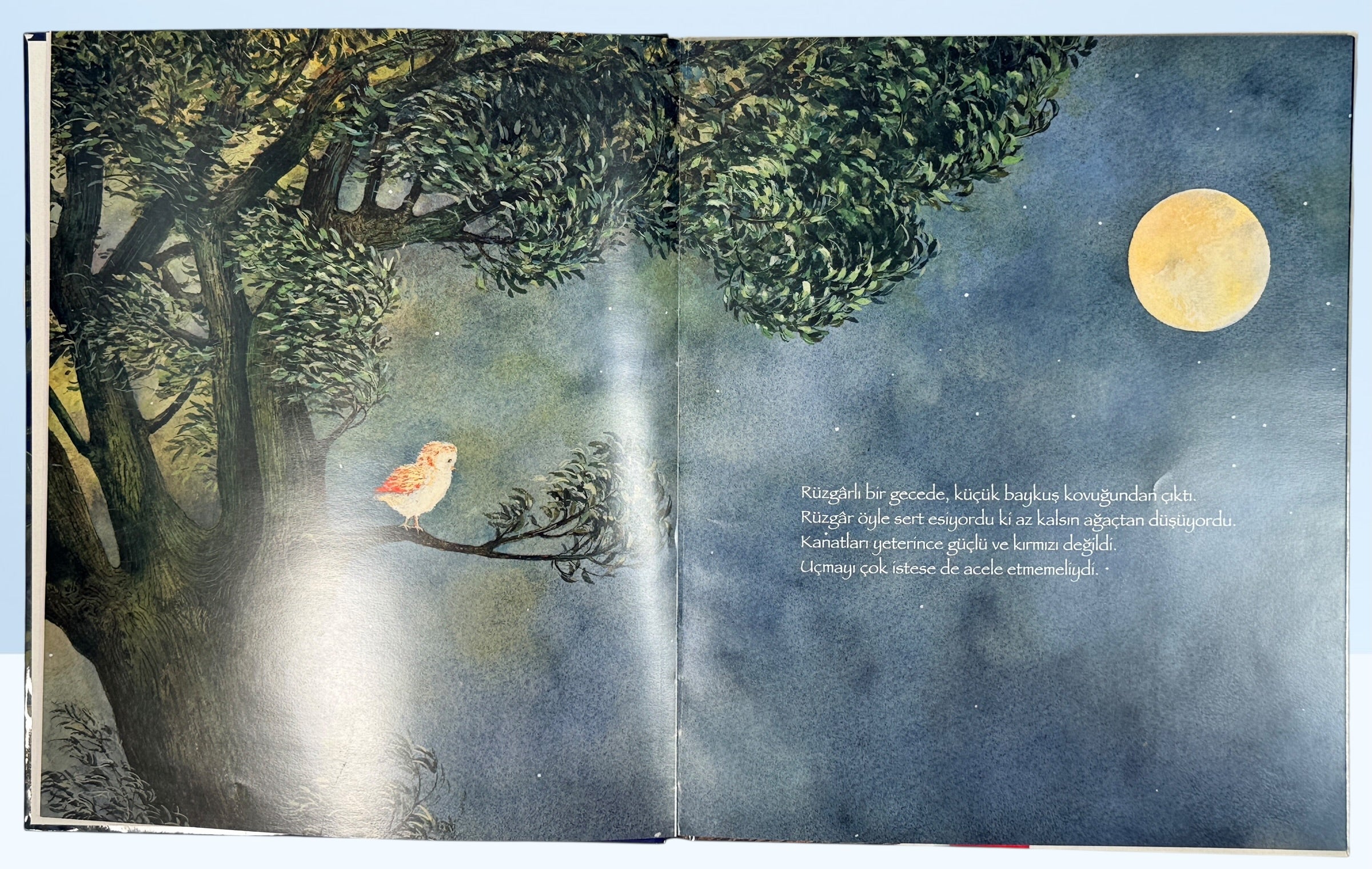 Feridun Oral illustrated Turkish children’s book Kirmizi Kanatli Baykus hardcover owl story picture book collectible kids literature Turkey