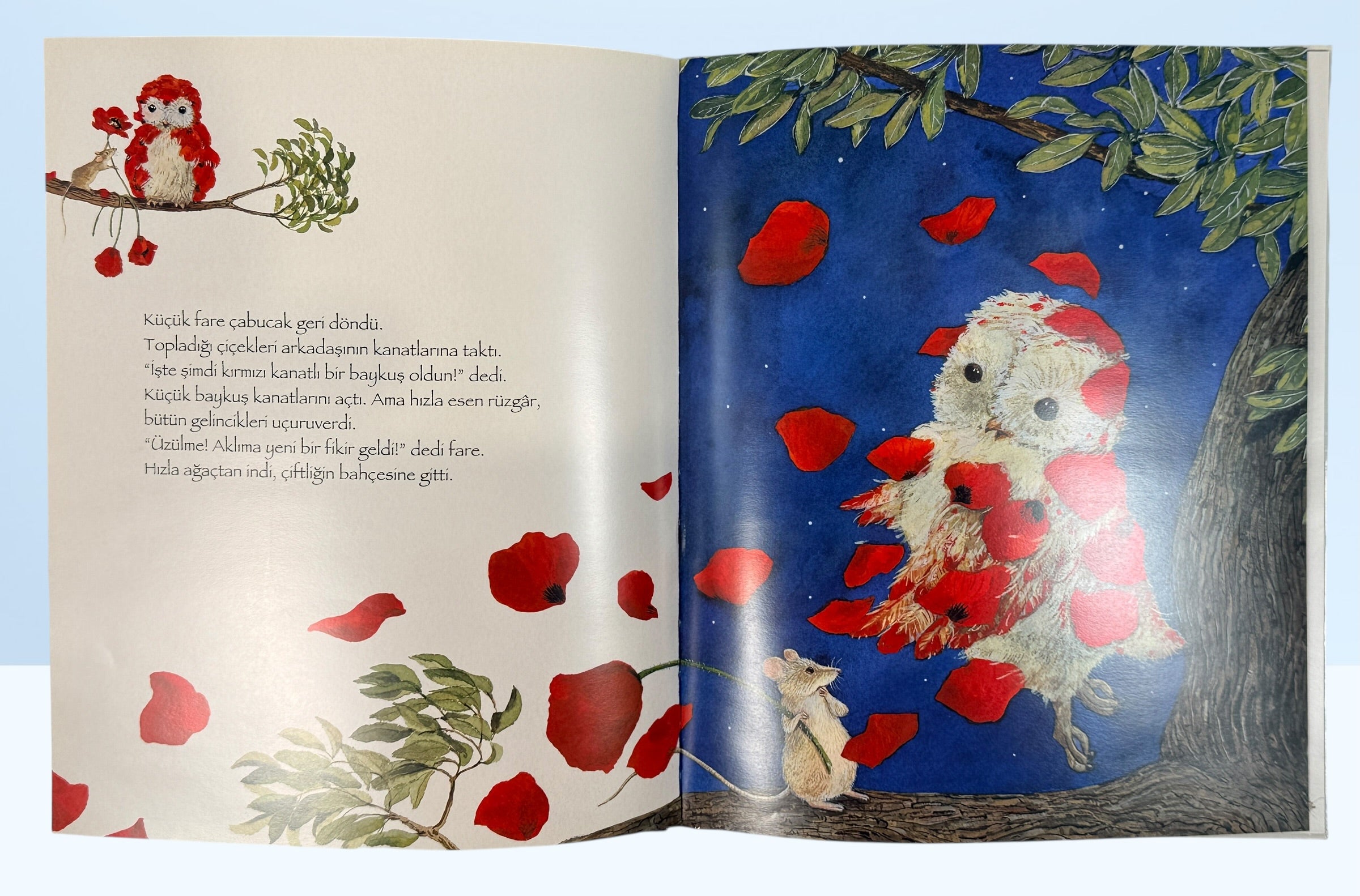 Feridun Oral illustrated Turkish children’s book Kirmizi Kanatli Baykus hardcover owl story picture book collectible kids literature Turkey